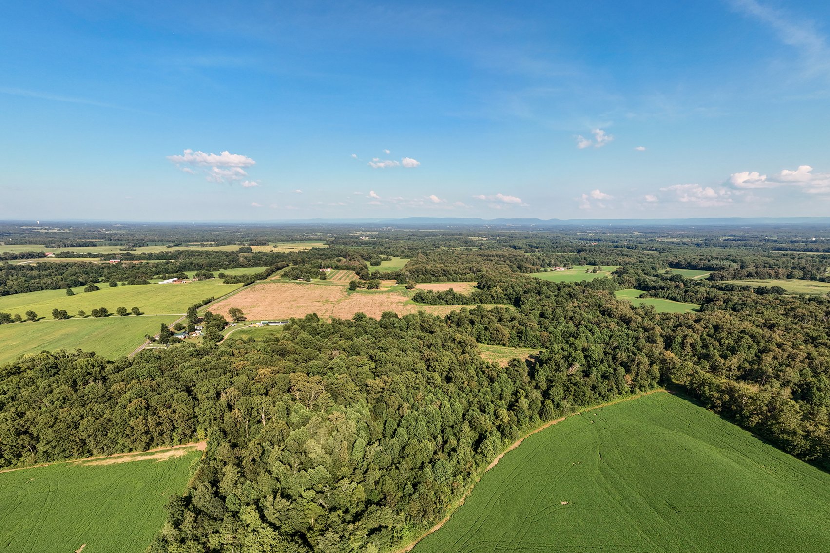 Image for Haley Road & Bertha Owen Road, Morrison