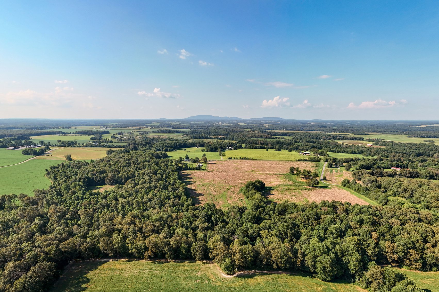 Image for Haley Road & Bertha Owen Road, Morrison