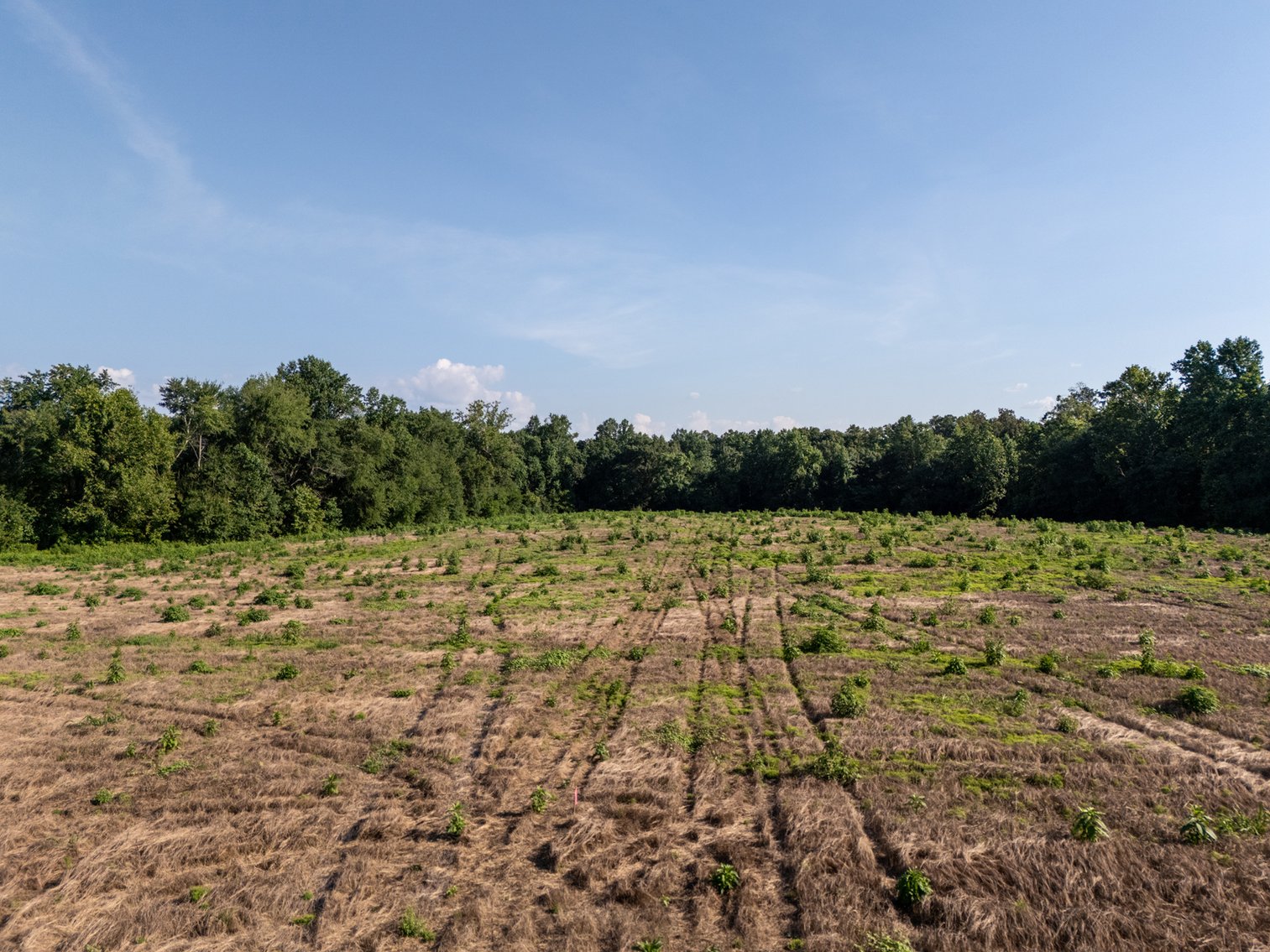 Image for Haley Road & Bertha Owen Road, Morrison