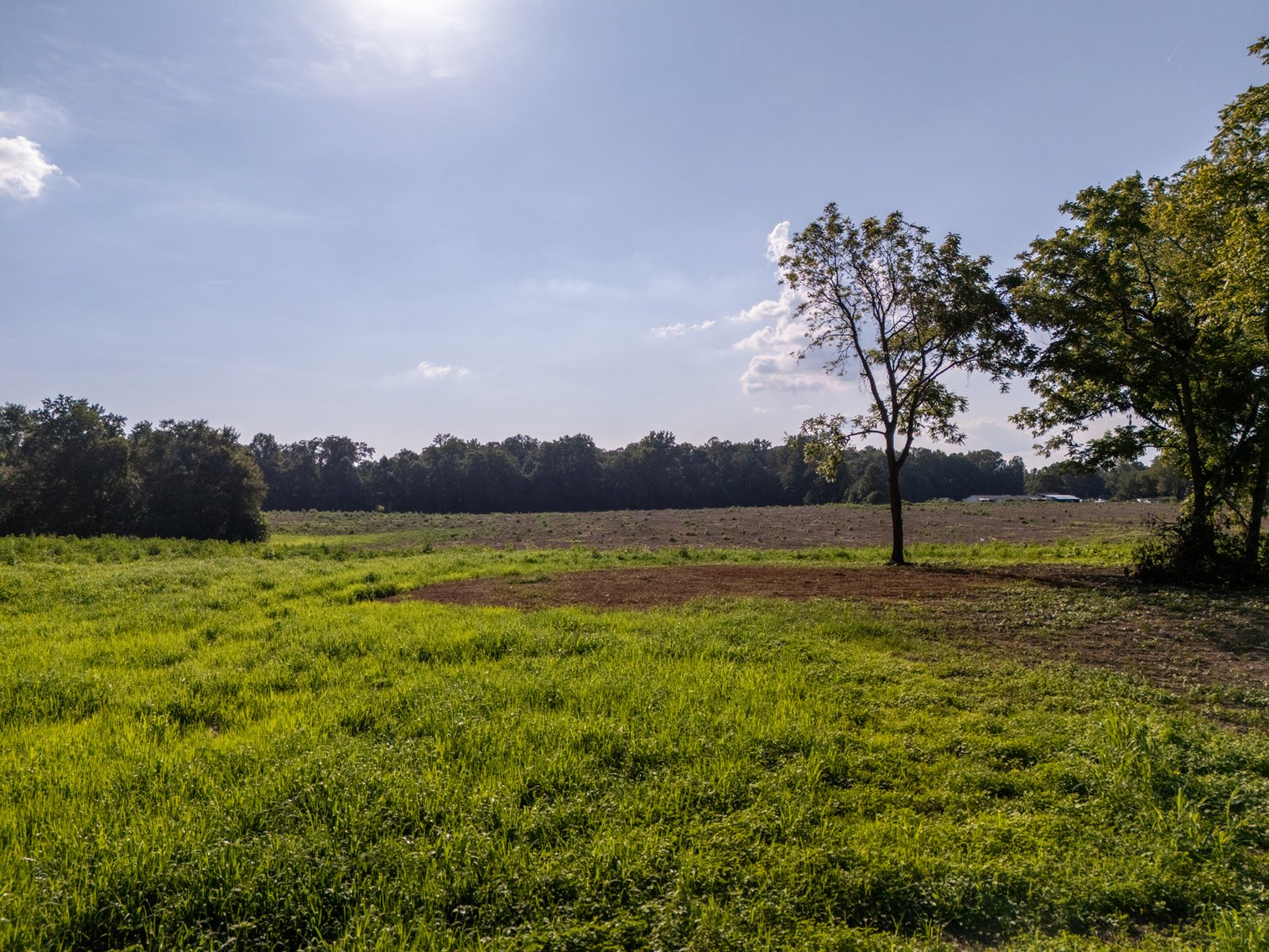 Image for Haley Road & Bertha Owen Road, Morrison