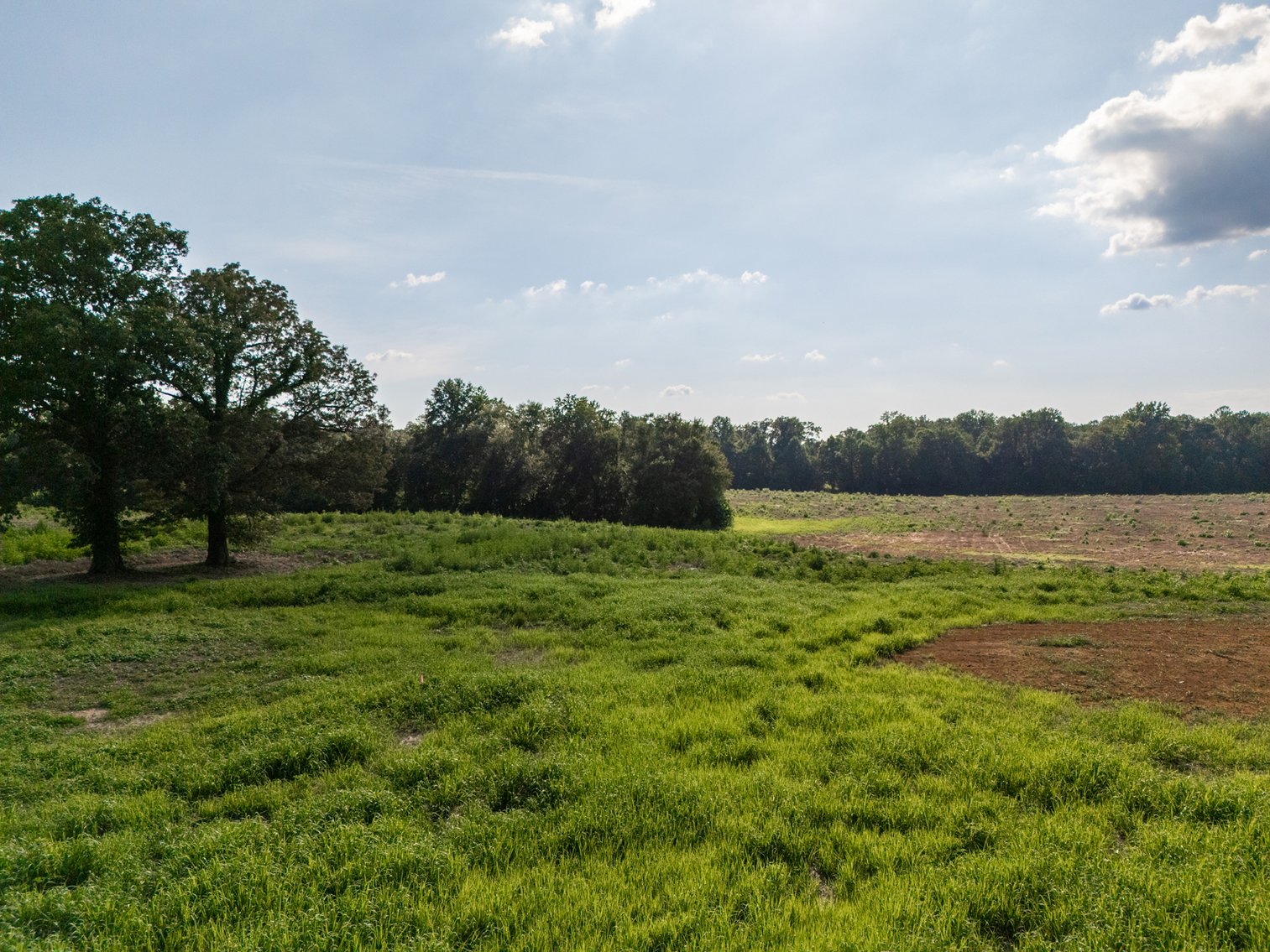 Image for Haley Road & Bertha Owen Road, Morrison