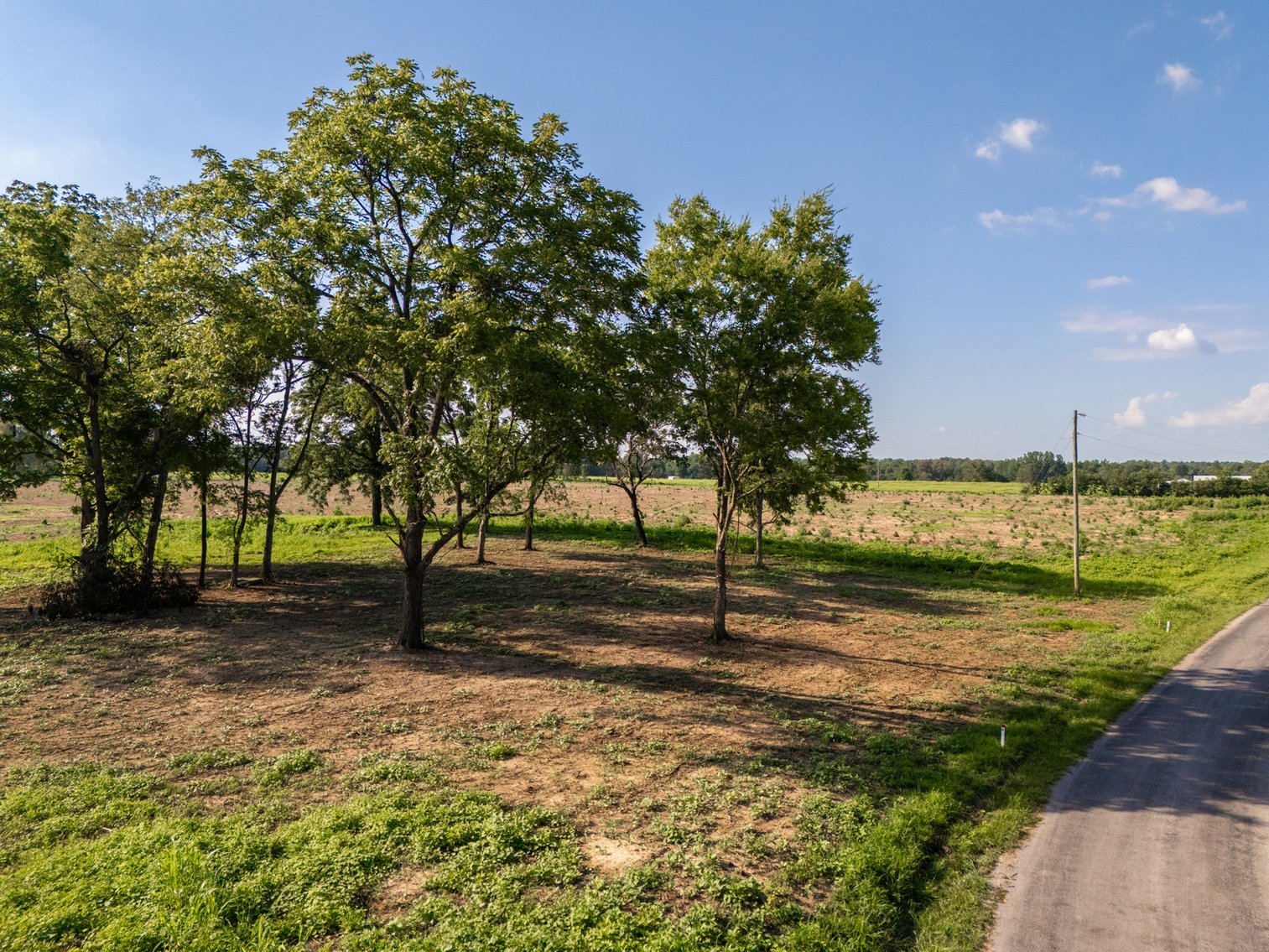 Image for Haley Road & Bertha Owen Road, Morrison