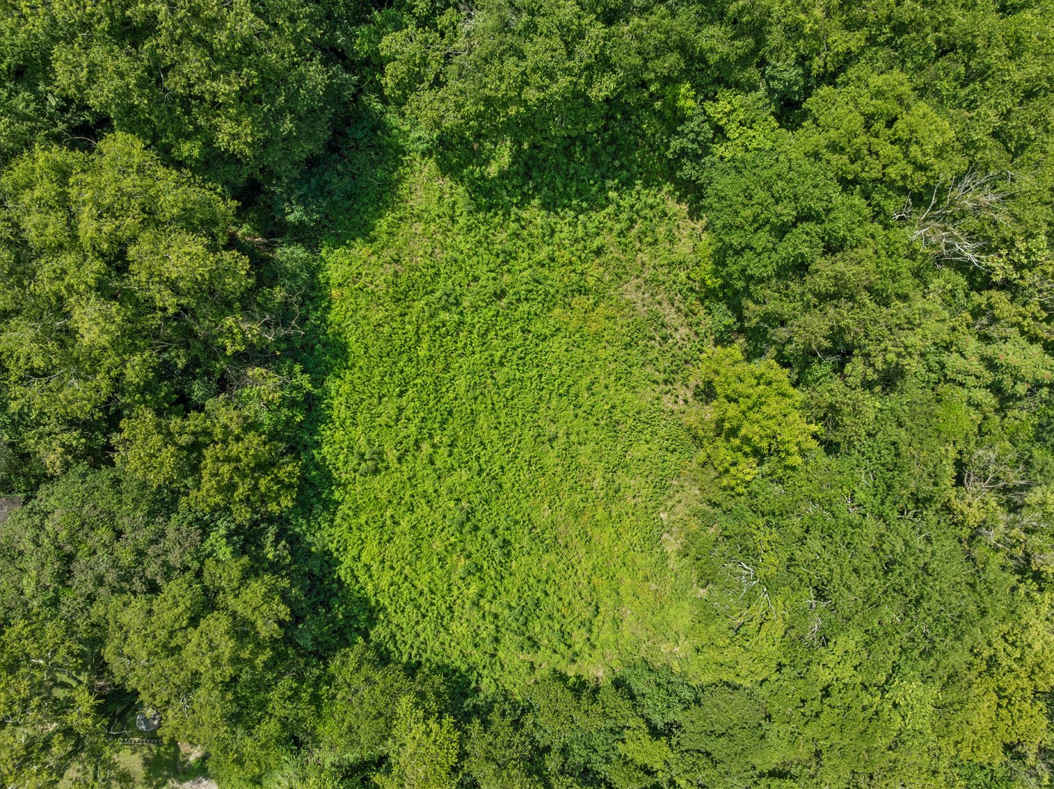 Image for 6996 Arno Allisona Road, College Grove