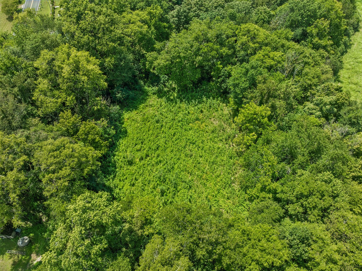 Image for 6996 Arno Allisona Road, College Grove