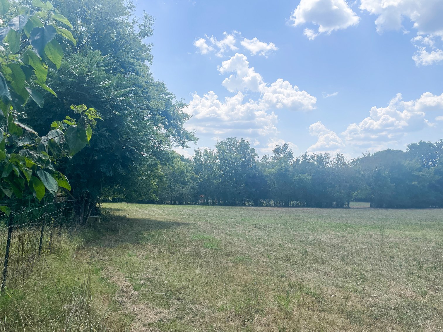 Image for 3107 N. Cross Bridges Road, Columbia