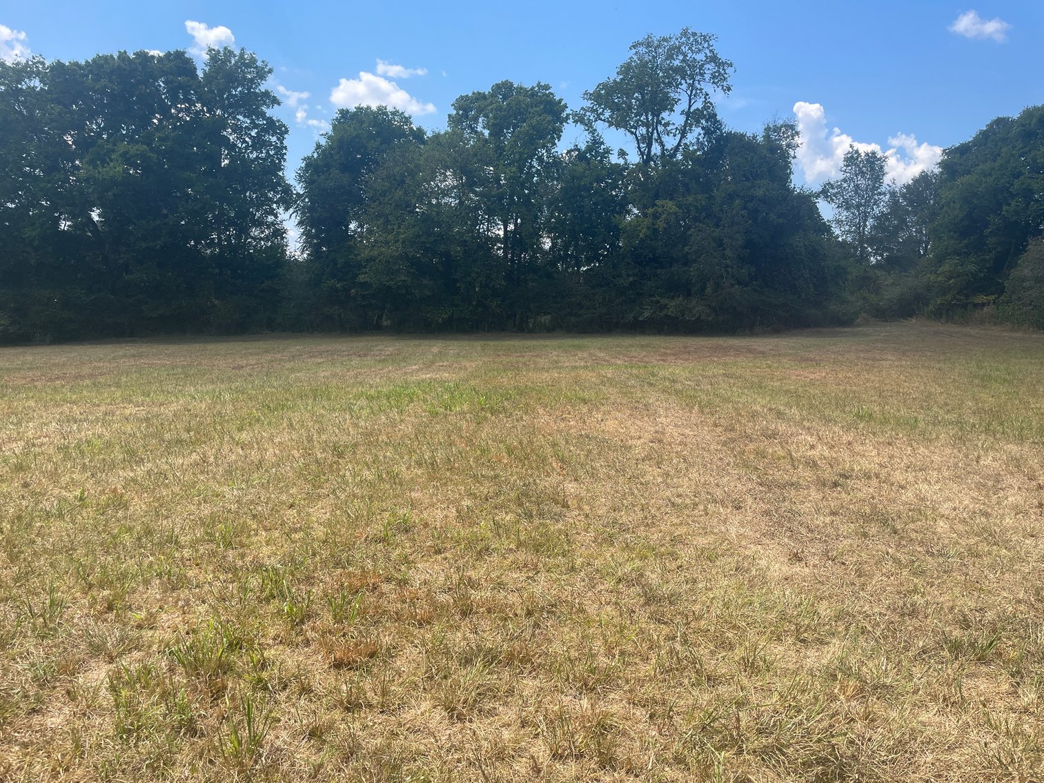 Image for 3107 N. Cross Bridges Road, Columbia