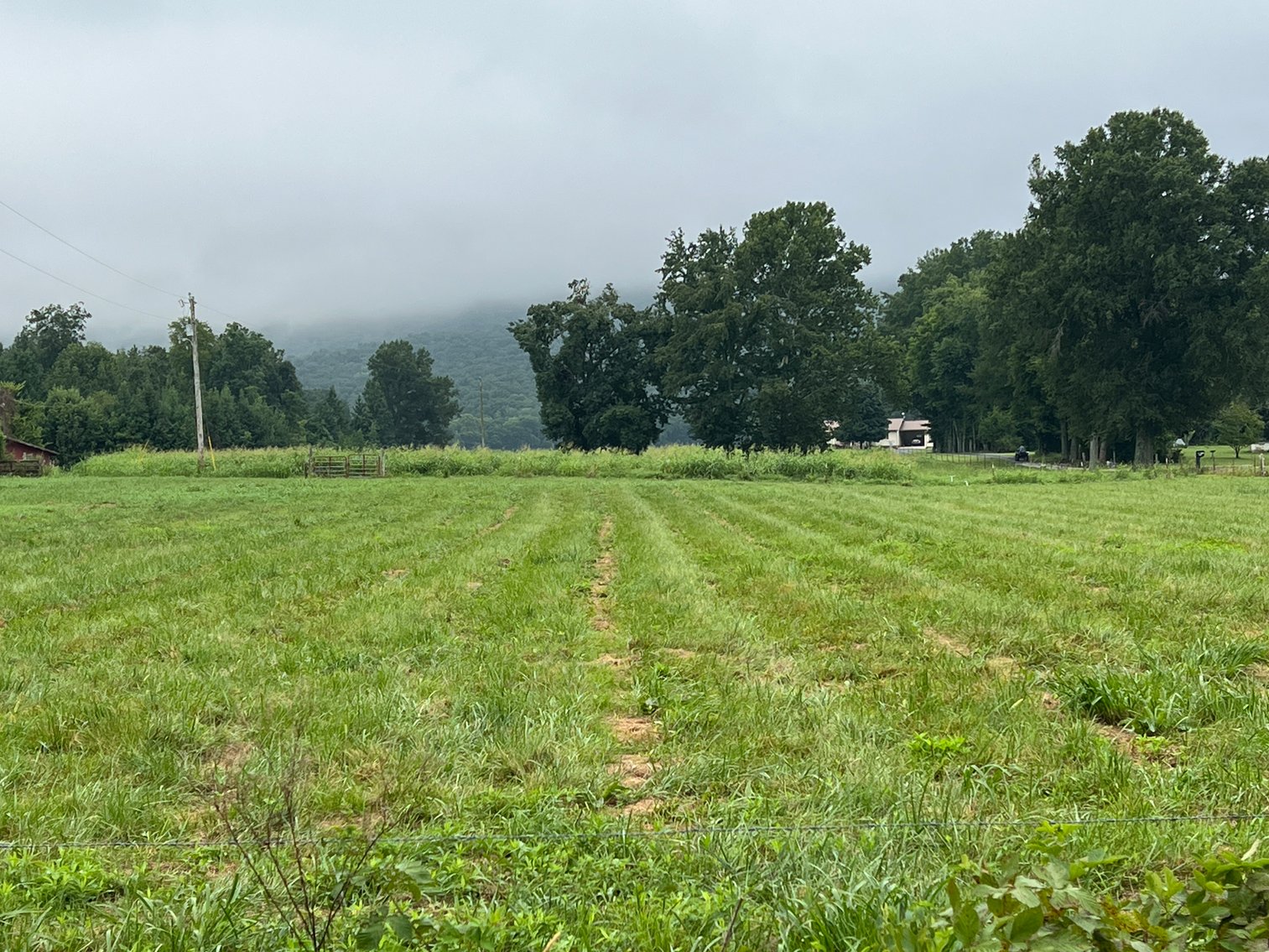 Image for 836 Spur Rd, Decherd