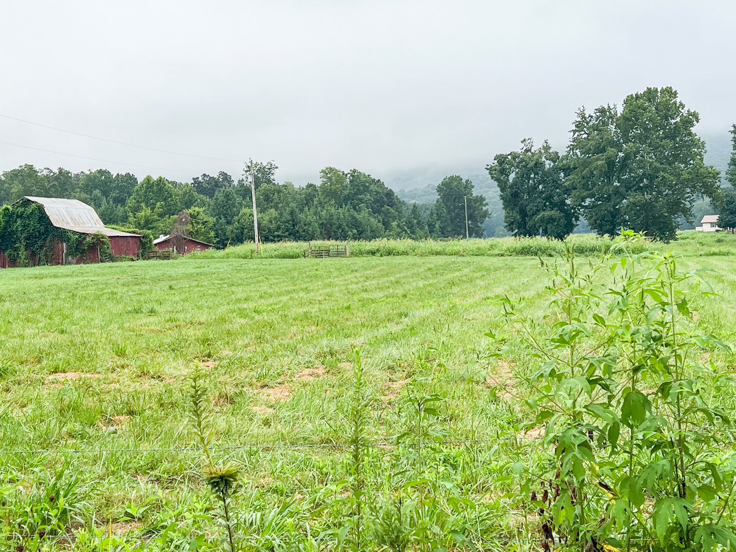 Image for 836 Spur Rd, Decherd