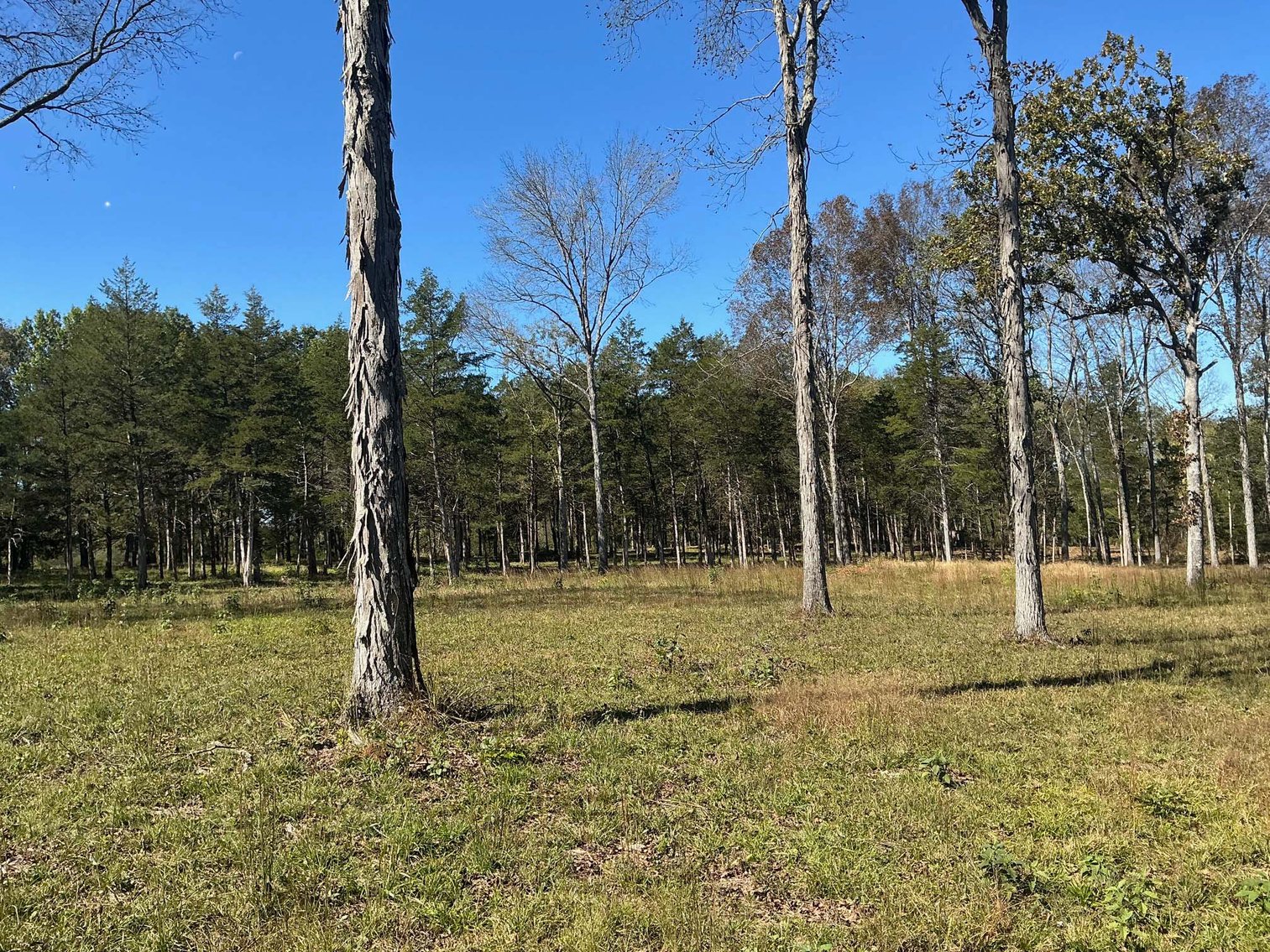 Image for Pass Road, Shelbyville