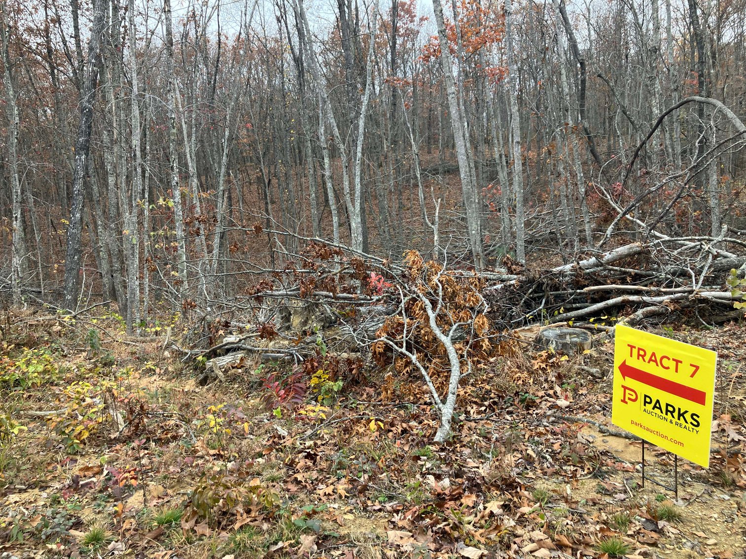 Image for Golden Acres – Mill Creek Rd, Sunbright, TN