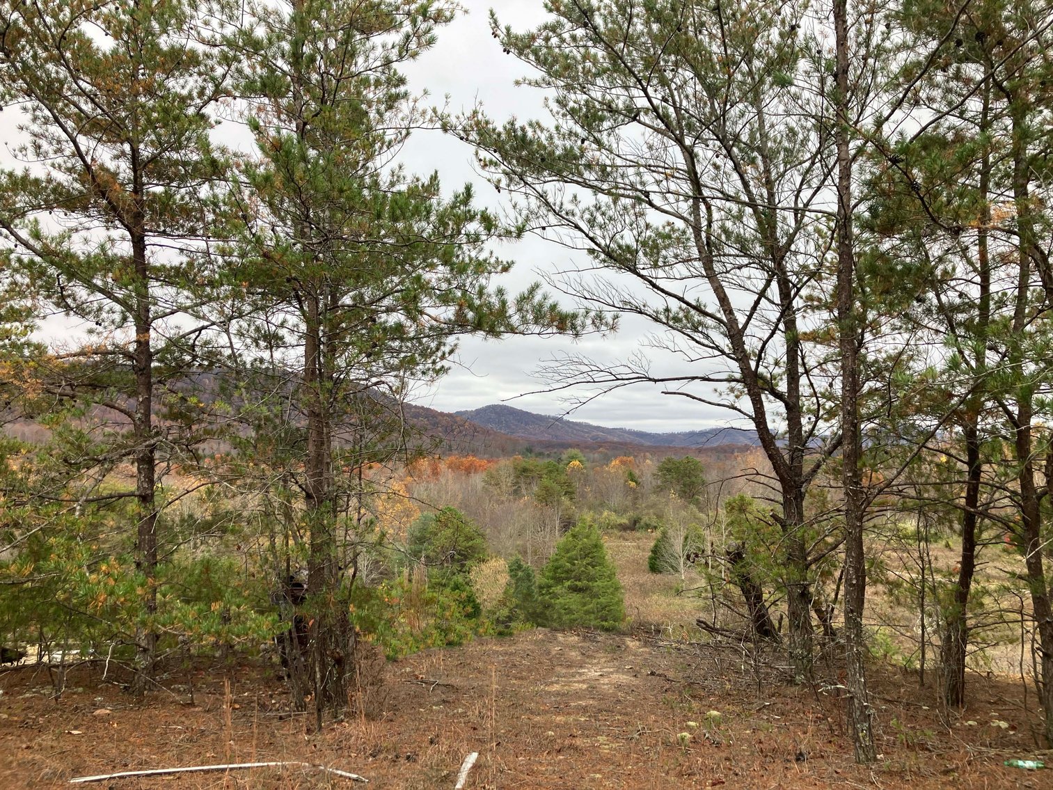 Image for Golden Acres – Mill Creek Rd, Sunbright, TN