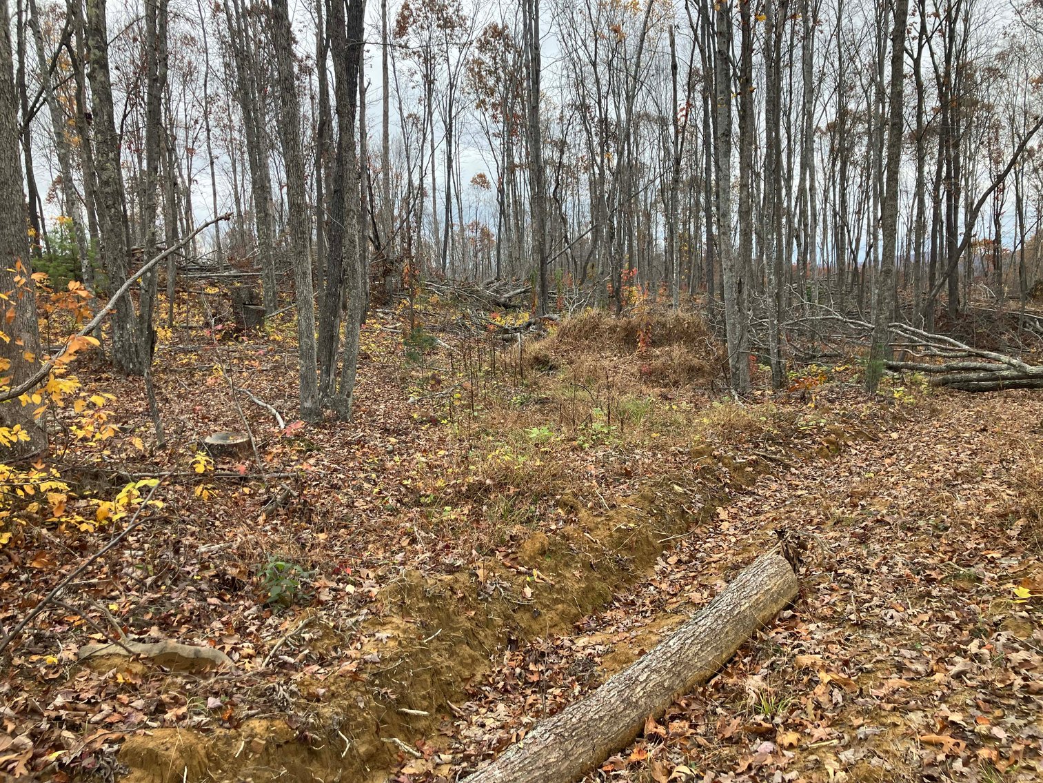 Image for Golden Acres – Mill Creek Rd, Sunbright, TN