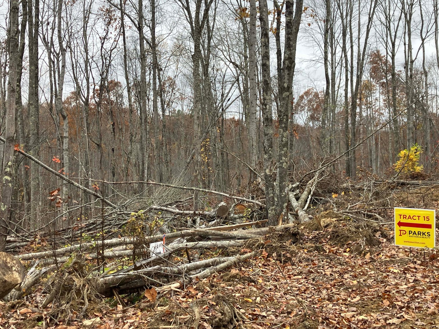 Image for Golden Acres – Mill Creek Rd, Sunbright, TN