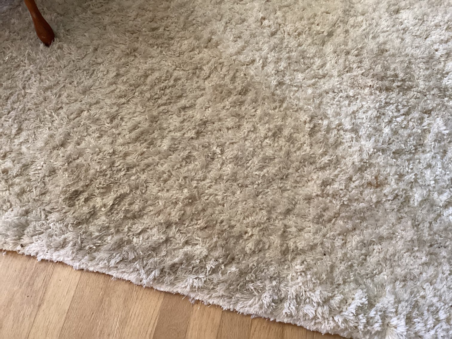 Image for Area Rug