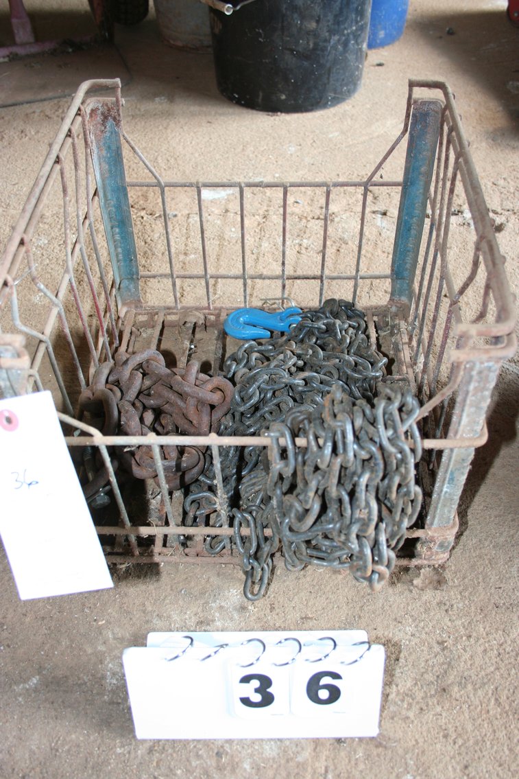 Image for Chain & Metal Basket