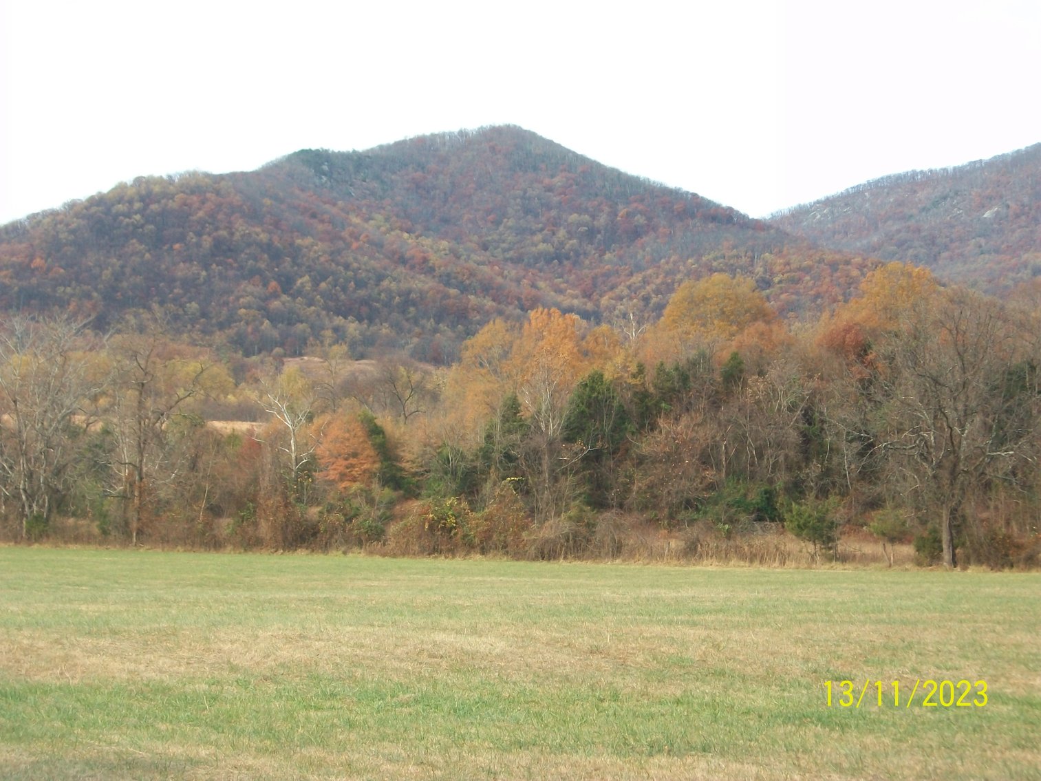 Image for ONLINE & LIVE - REAL ESTATE - YOUR DREAM HOME AWAITS IN LOWESVILLE, VA