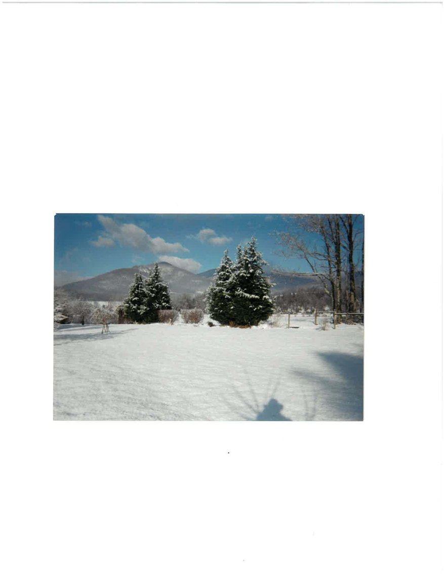 Image for ONLINE & LIVE - REAL ESTATE - YOUR DREAM HOME AWAITS IN LOWESVILLE, VA