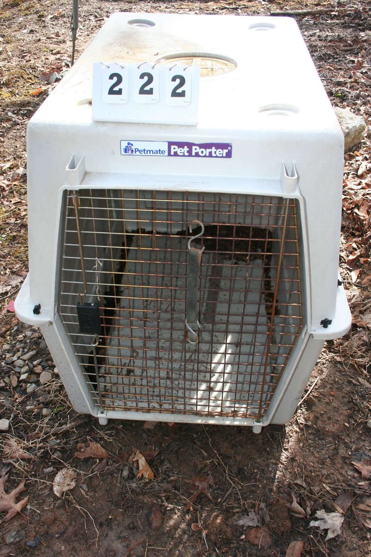 Image for Animal Kennel