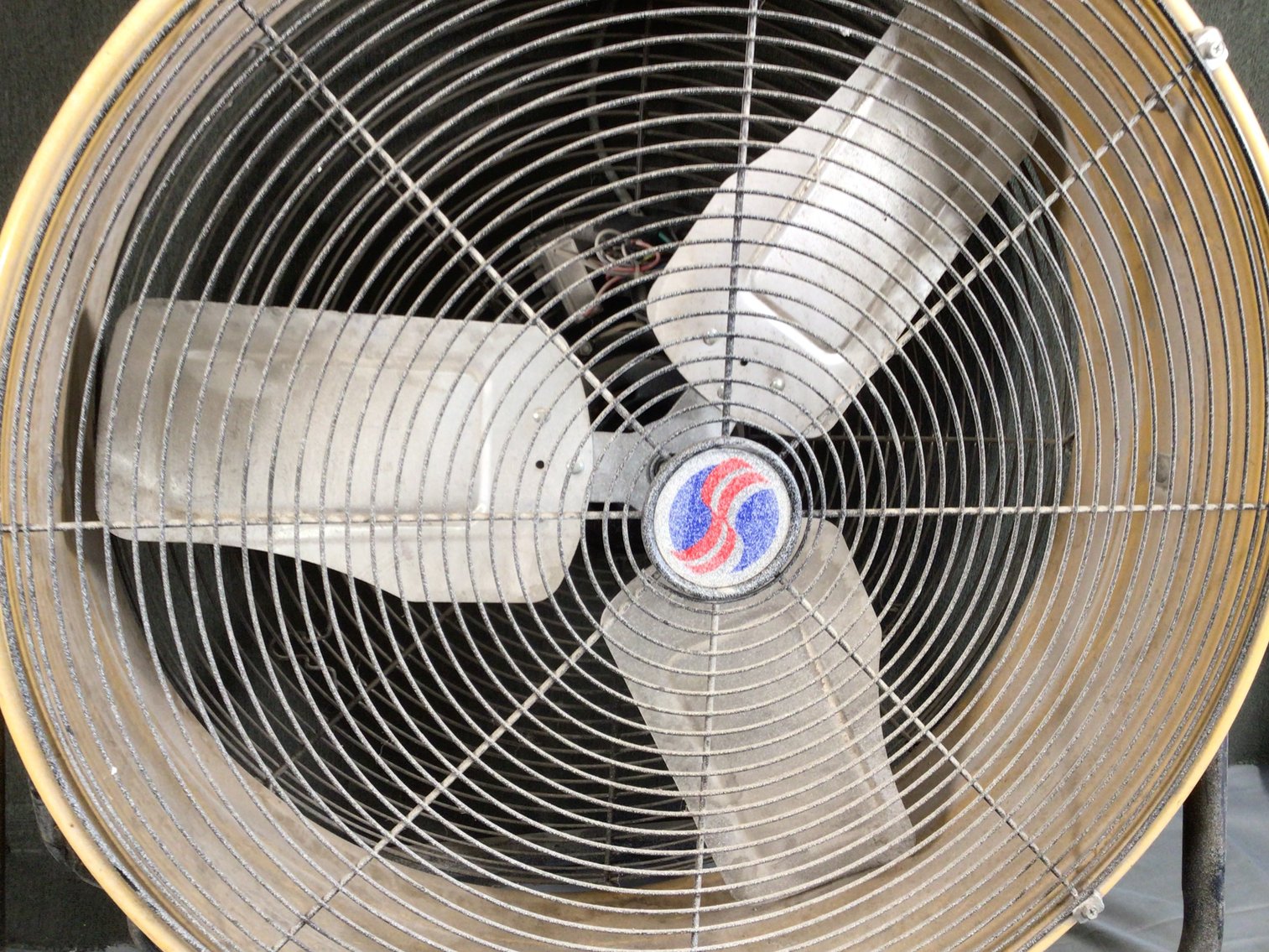 Image for Fan