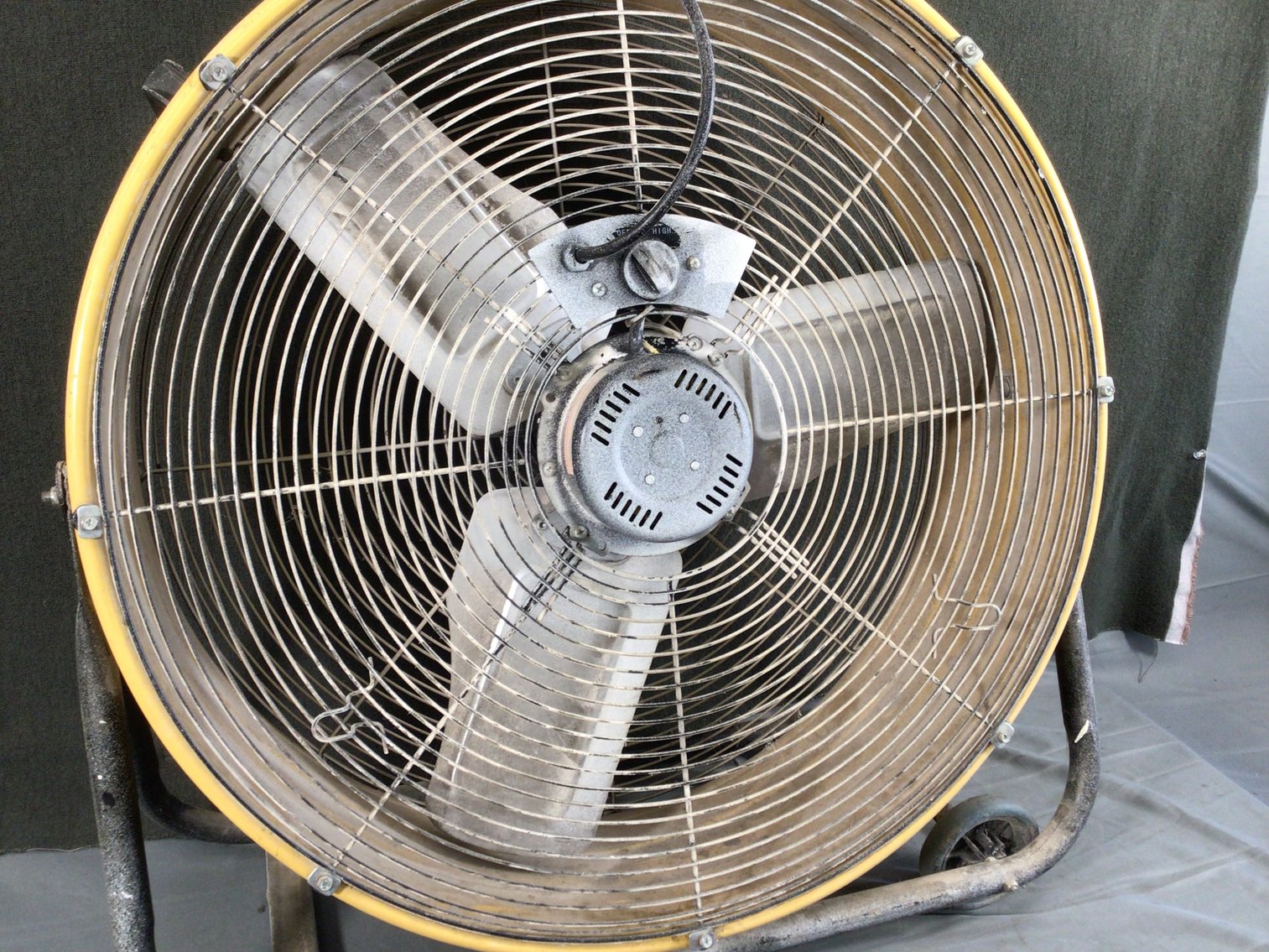 Image for Fan
