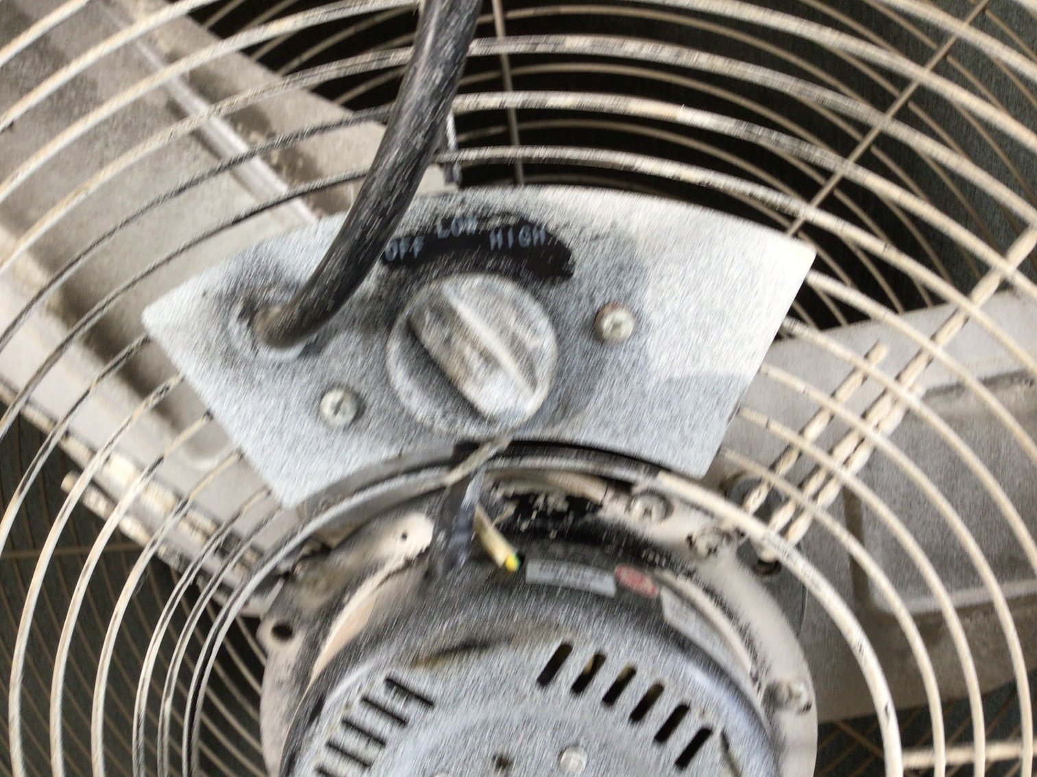 Image for Fan