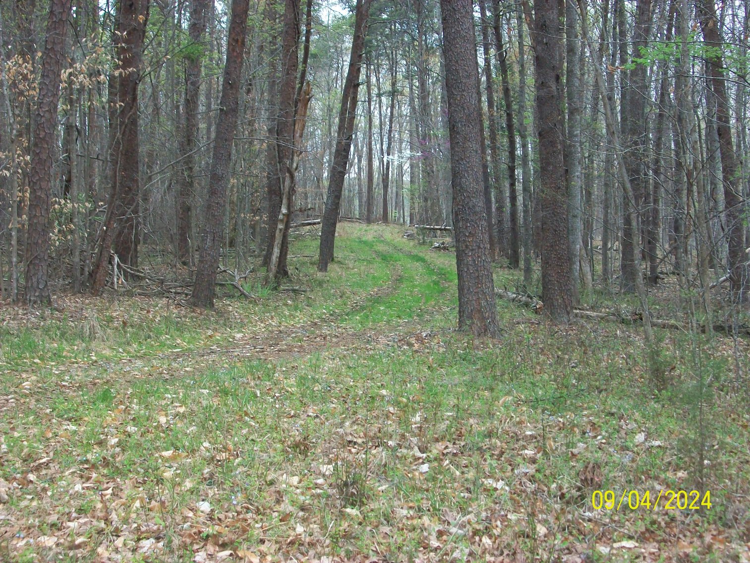 Image for Property #17 Ravenscroft Rd and Dyers Store Rd - 57.76 acres