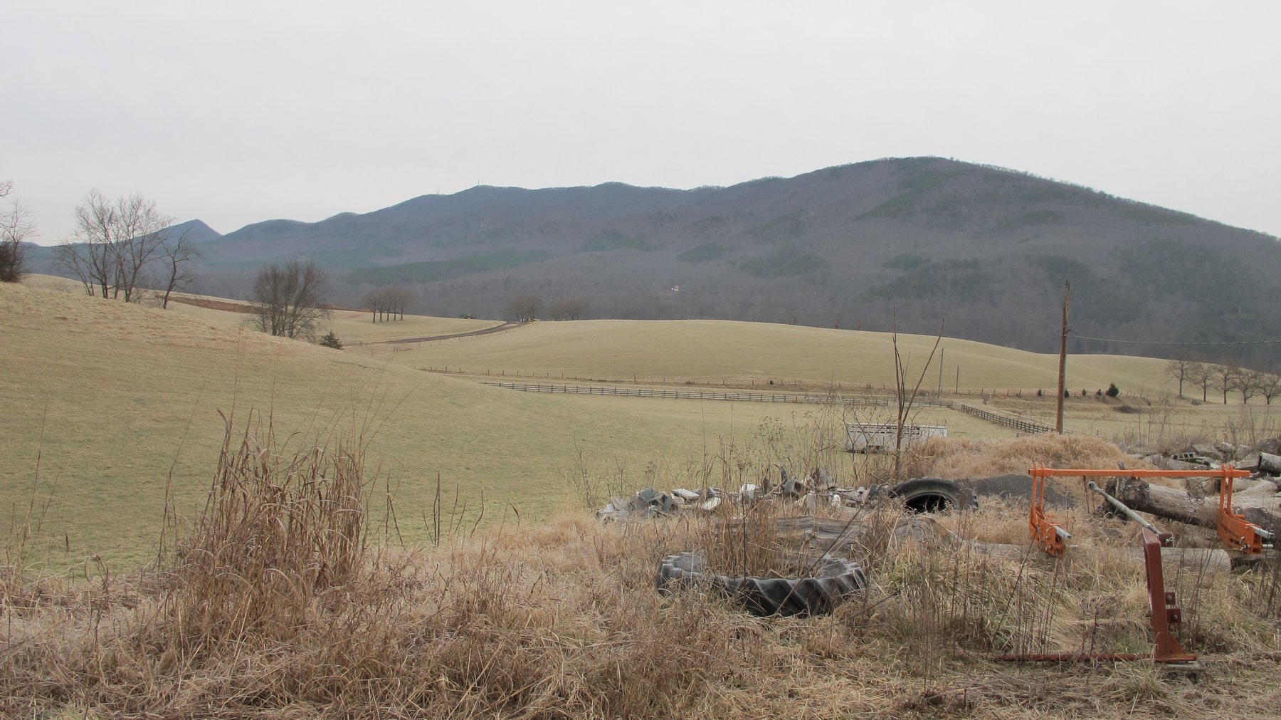 Image for ABSOLUTE TRUSTEE AUCTION - 85.65 ACRES WITH BARN - BUCHANAN, VA