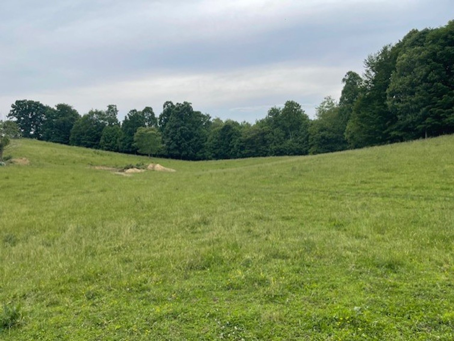 Image for 69.1 Acres (+/-)