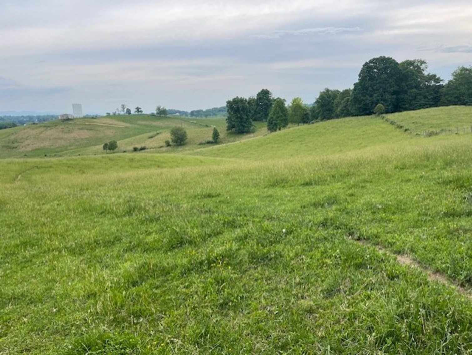 Image for 69.1 Acres (+/-)