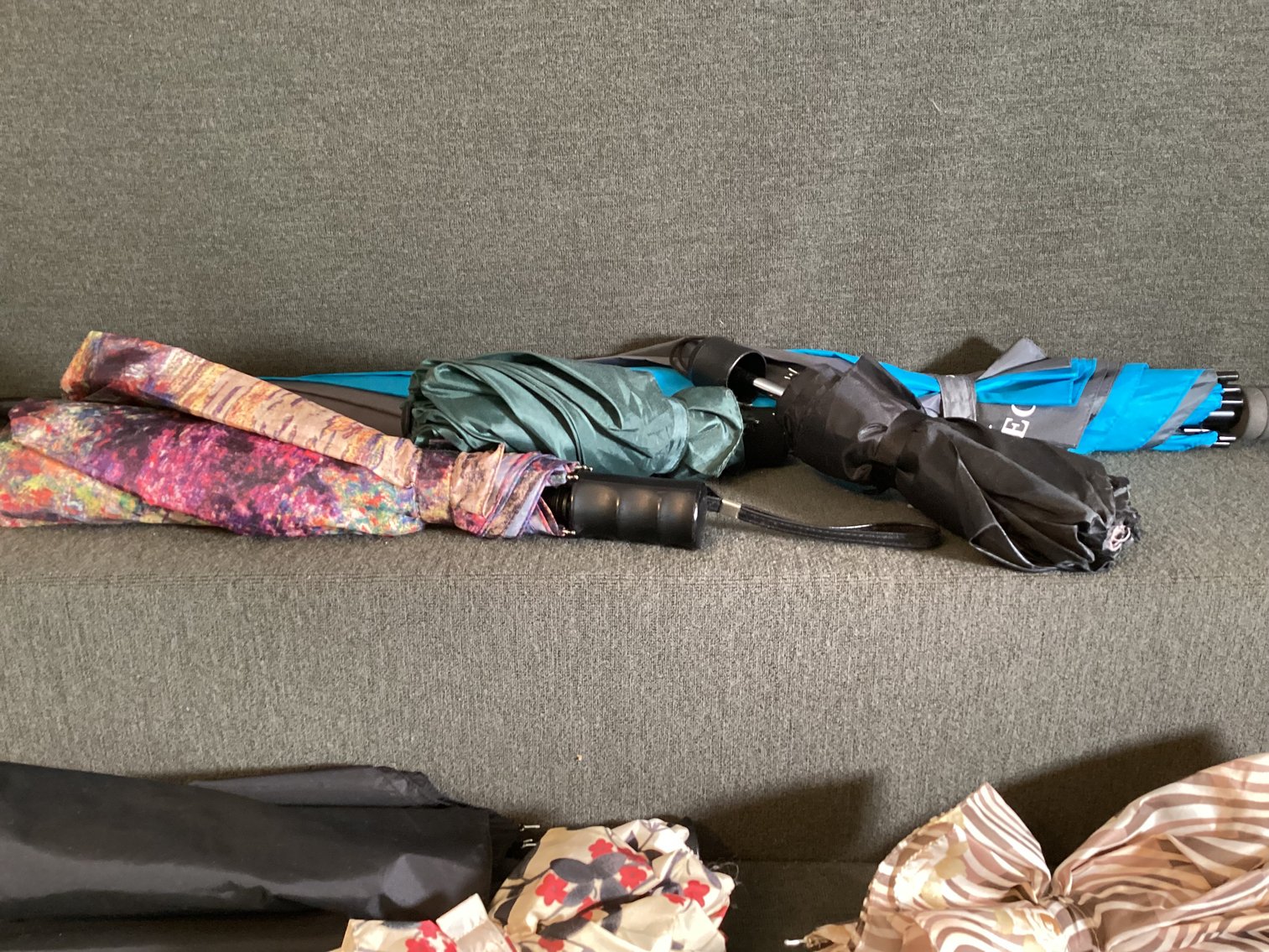 Image for Umbrellas