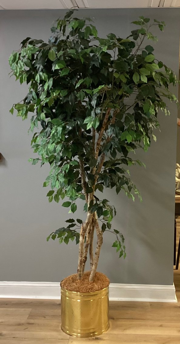 Image for 7’ Faux Fig Tree