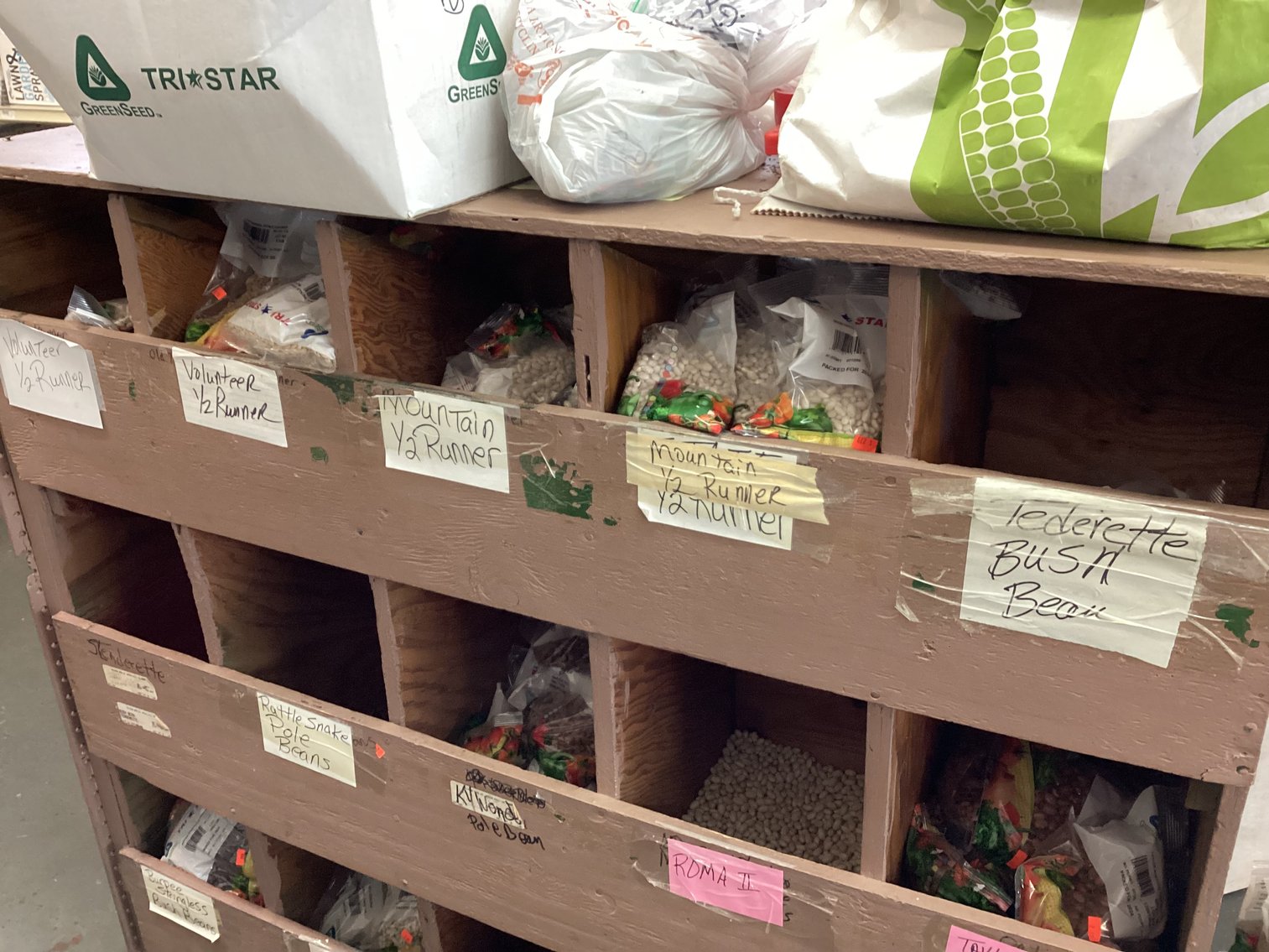 Image for Large Lot of Garden Seeds