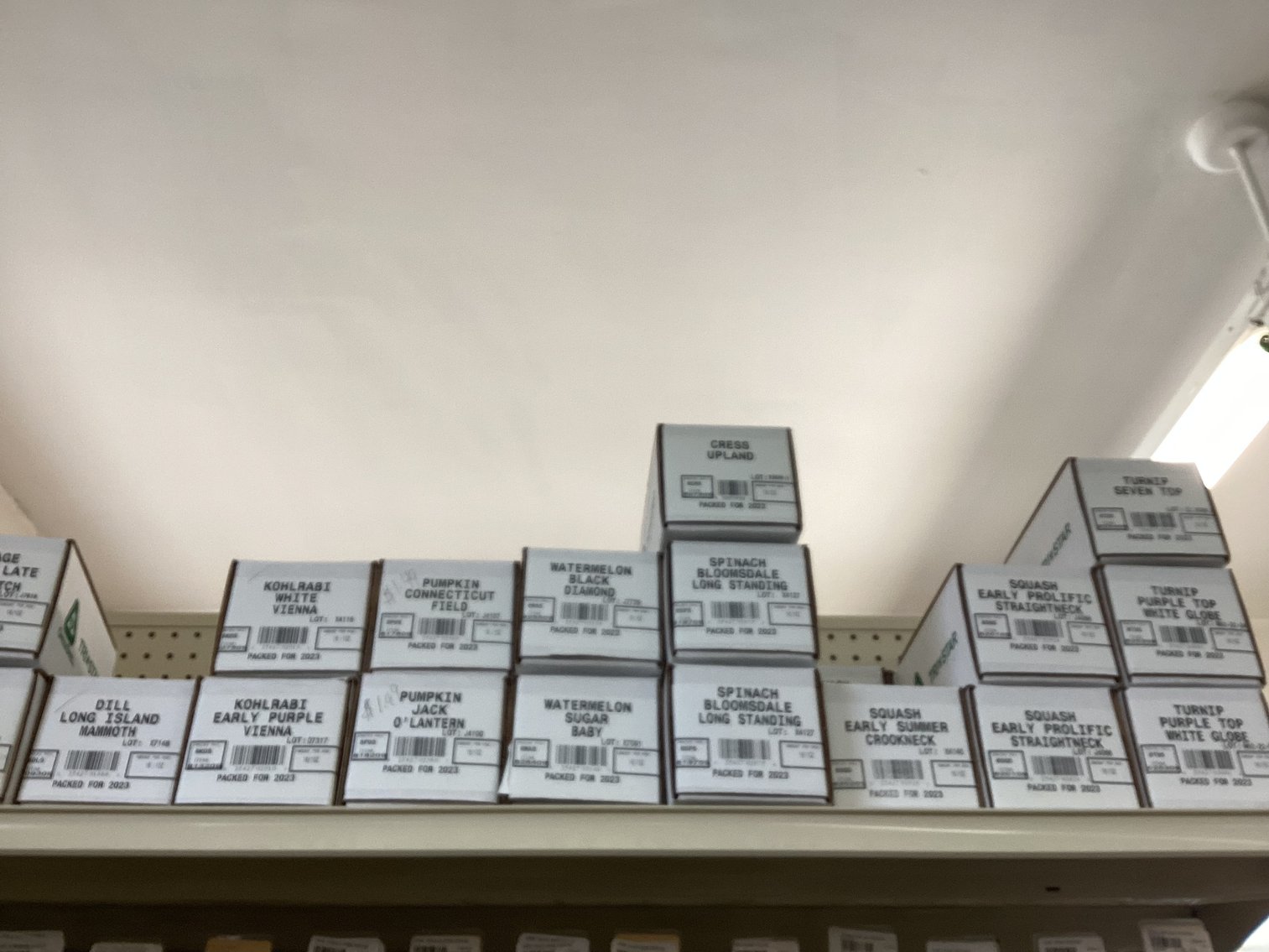 Image for Large Lot of Garden Seeds