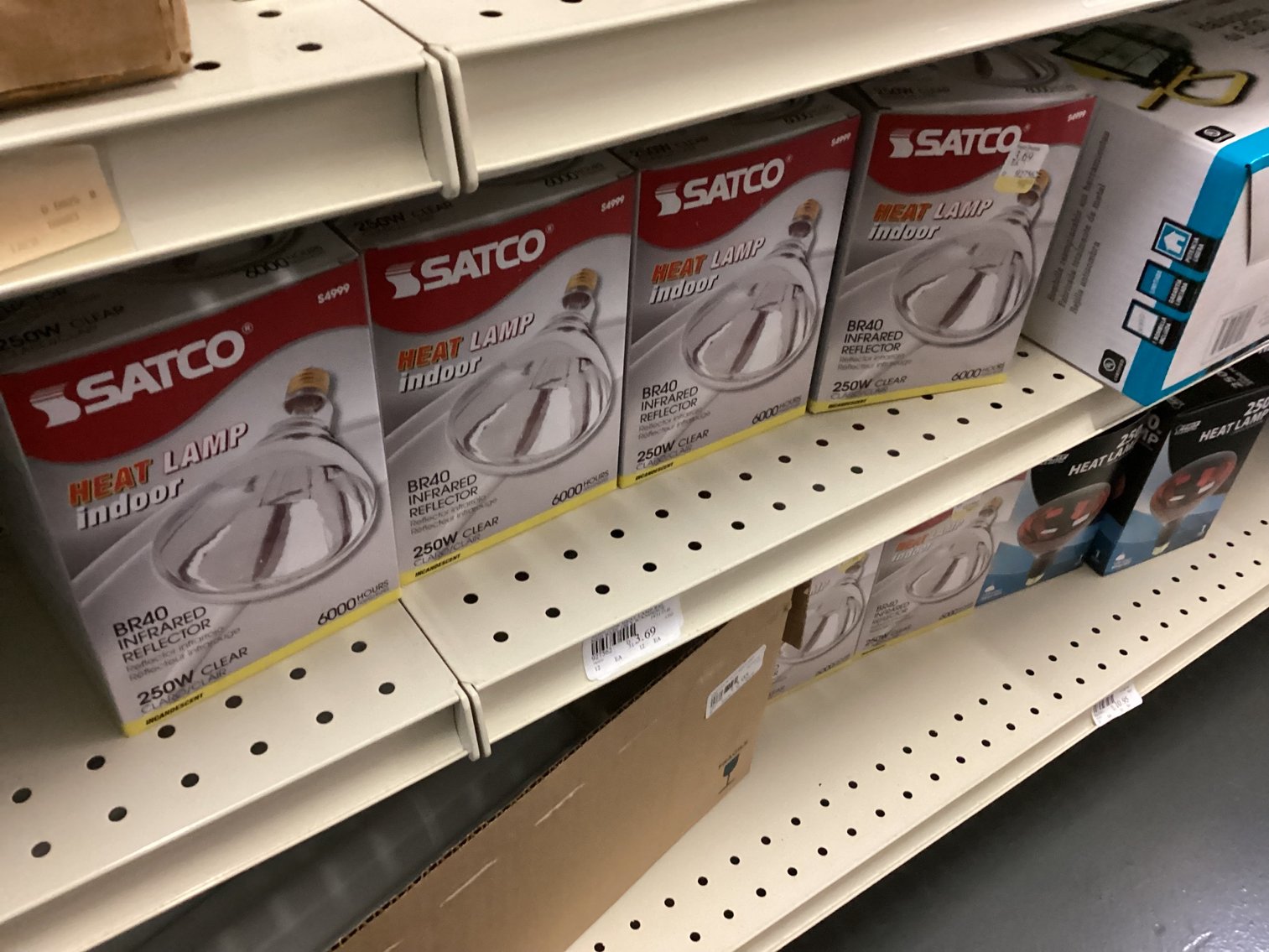 Image for Lights, Bulbs, Shop Lights, Halogen Lights