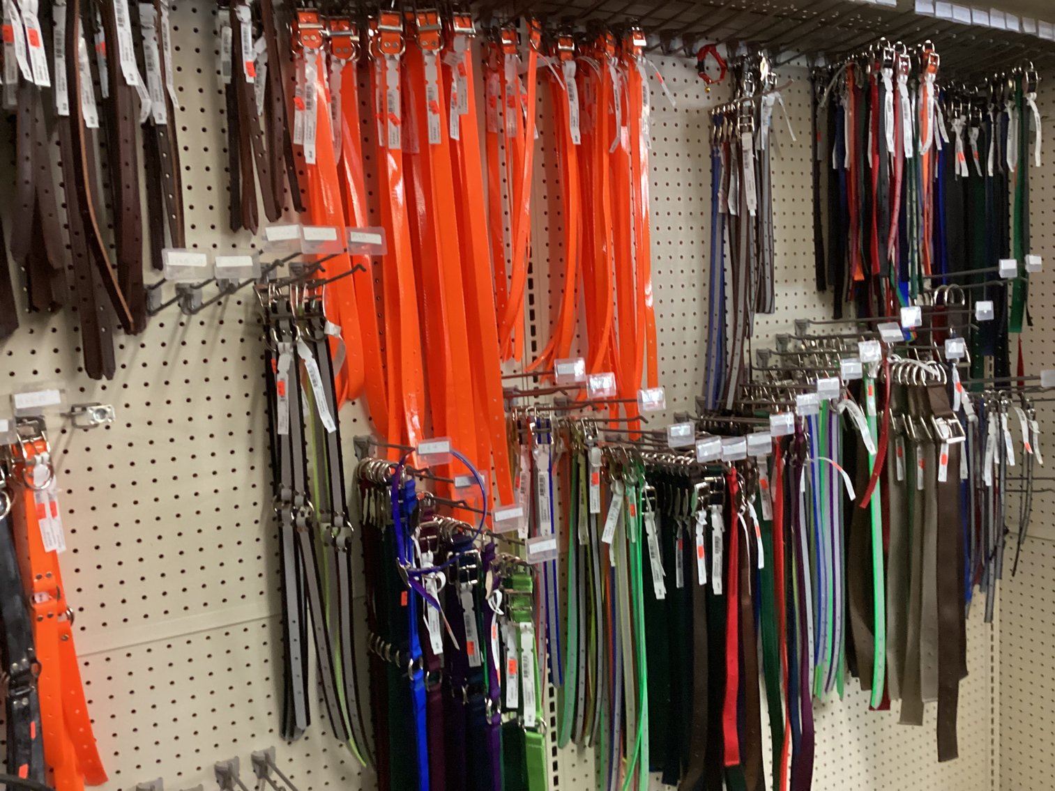 Image for Dog Leashes, Collars, and 4 Truck Safety Harness