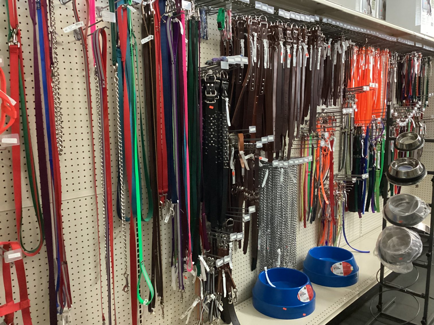 Image for Dog Leashes, Collars, and 4 Truck Safety Harness