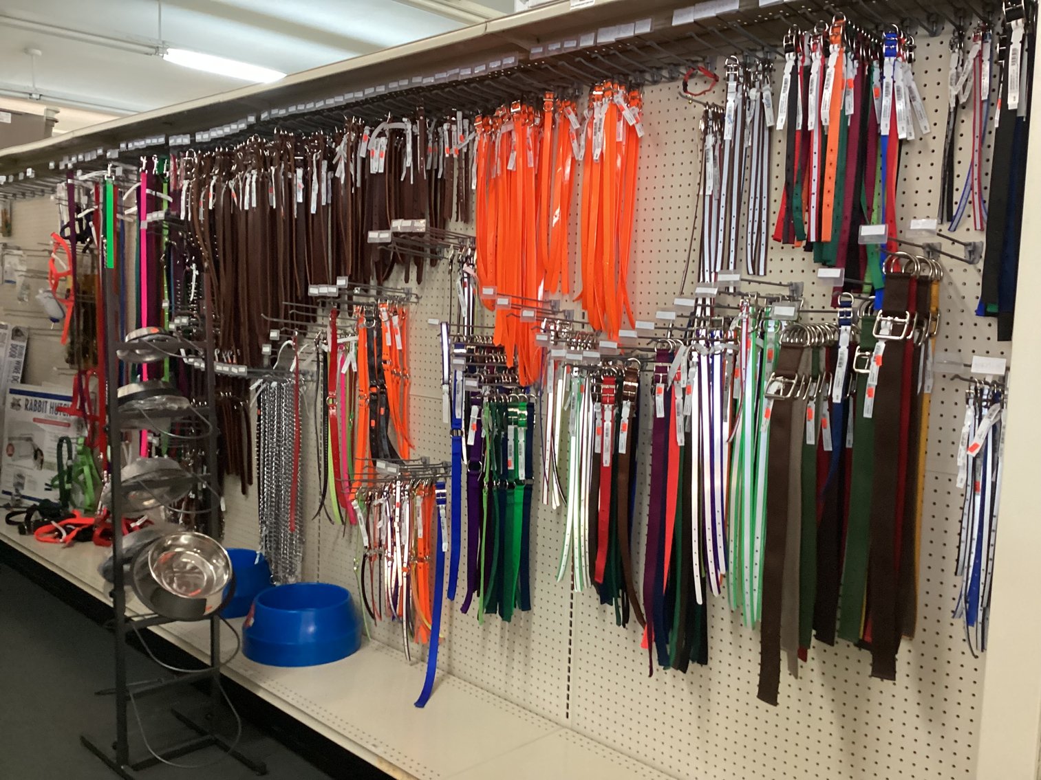 Image for Dog Leashes, Collars, and 4 Truck Safety Harness