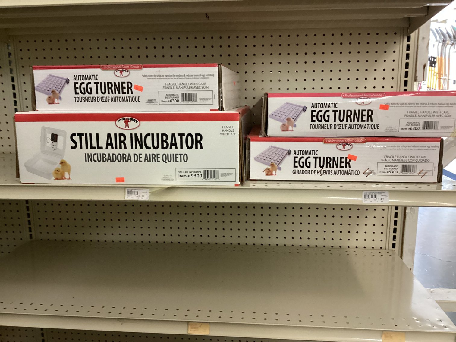 Image for Incubator and Egg Turners