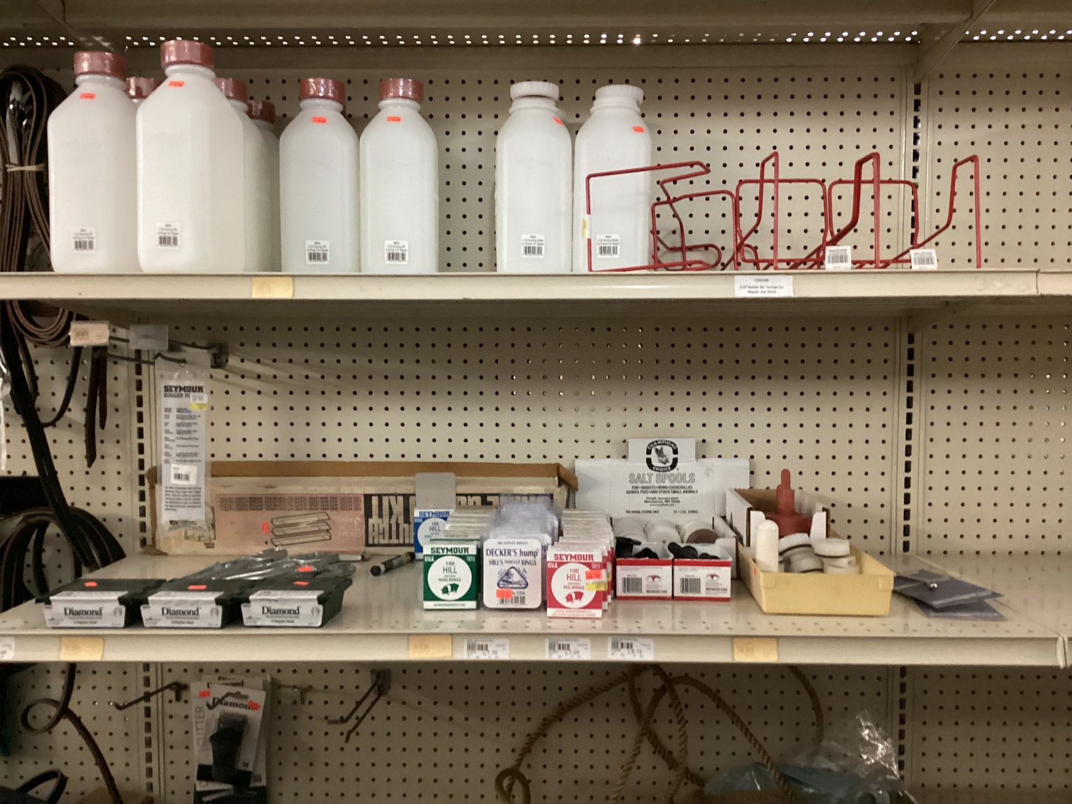 Image for Large Lot of Tack and Horse Supplies