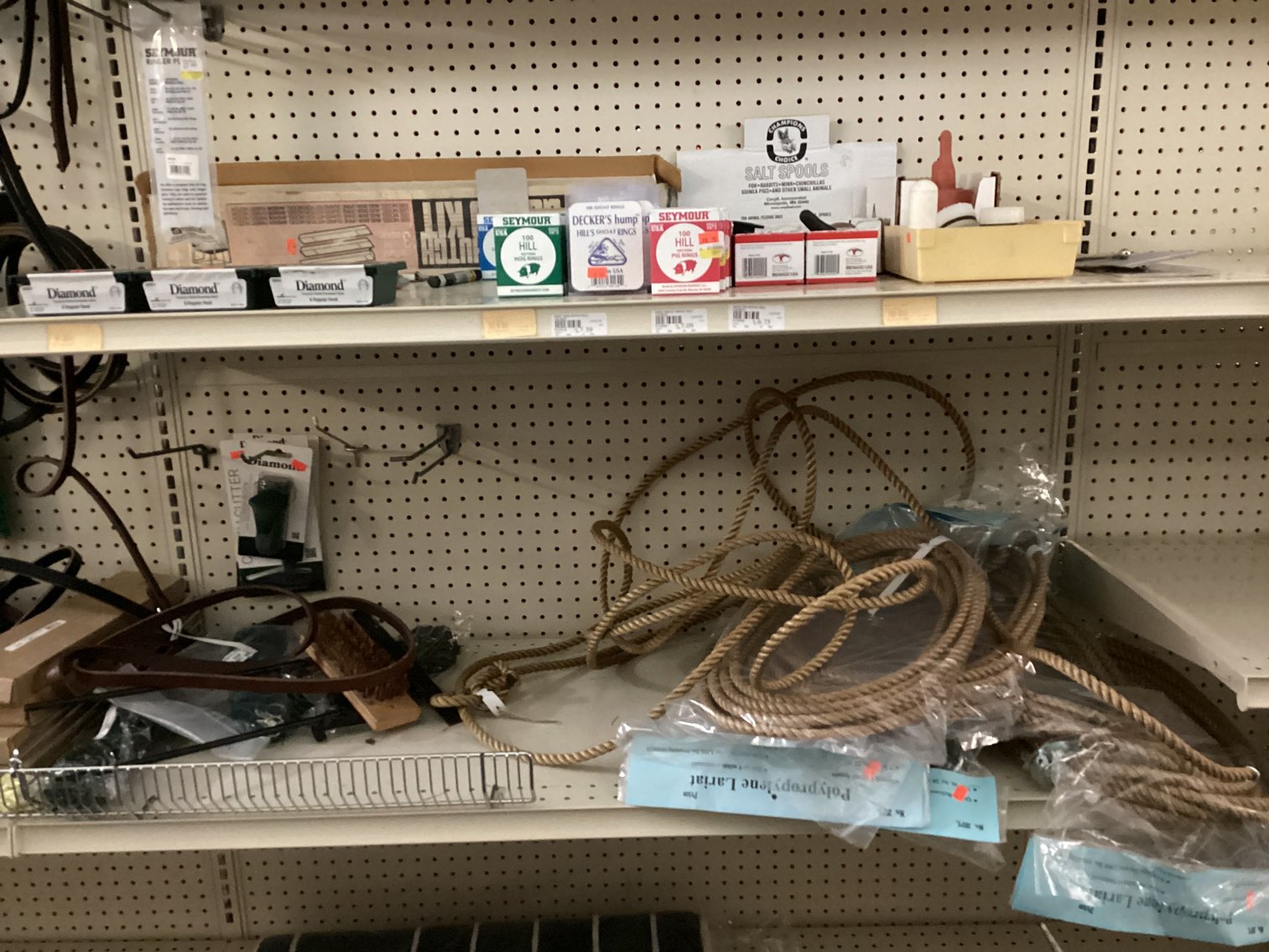 Image for Large Lot of Tack and Horse Supplies
