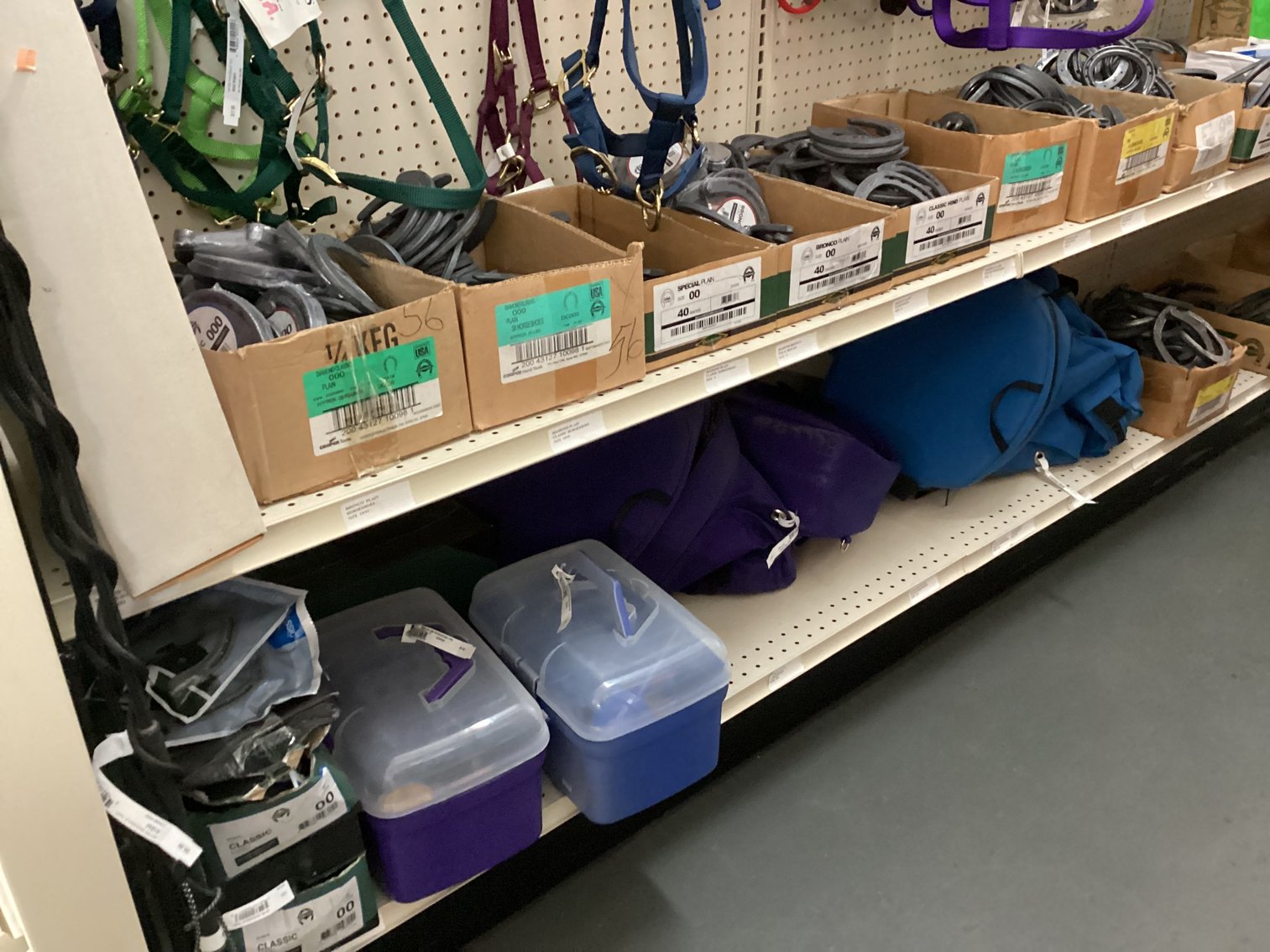 Image for Large Lot of Tack and Horse Supplies