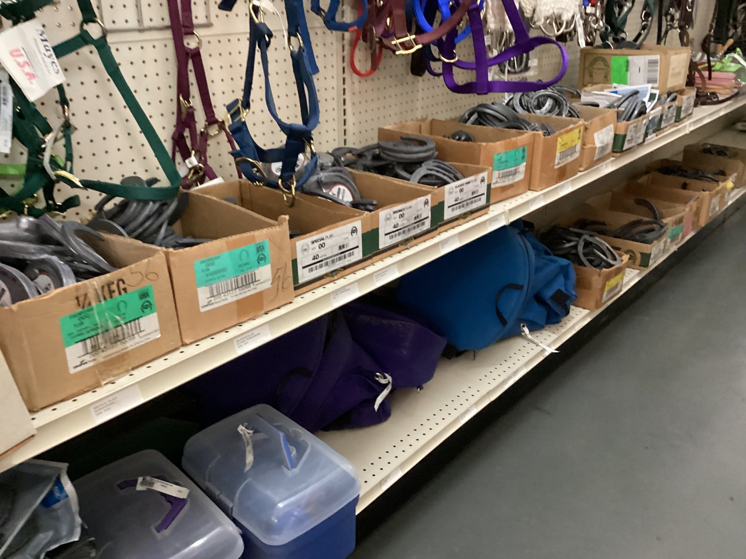 Image for Large Lot of Tack and Horse Supplies