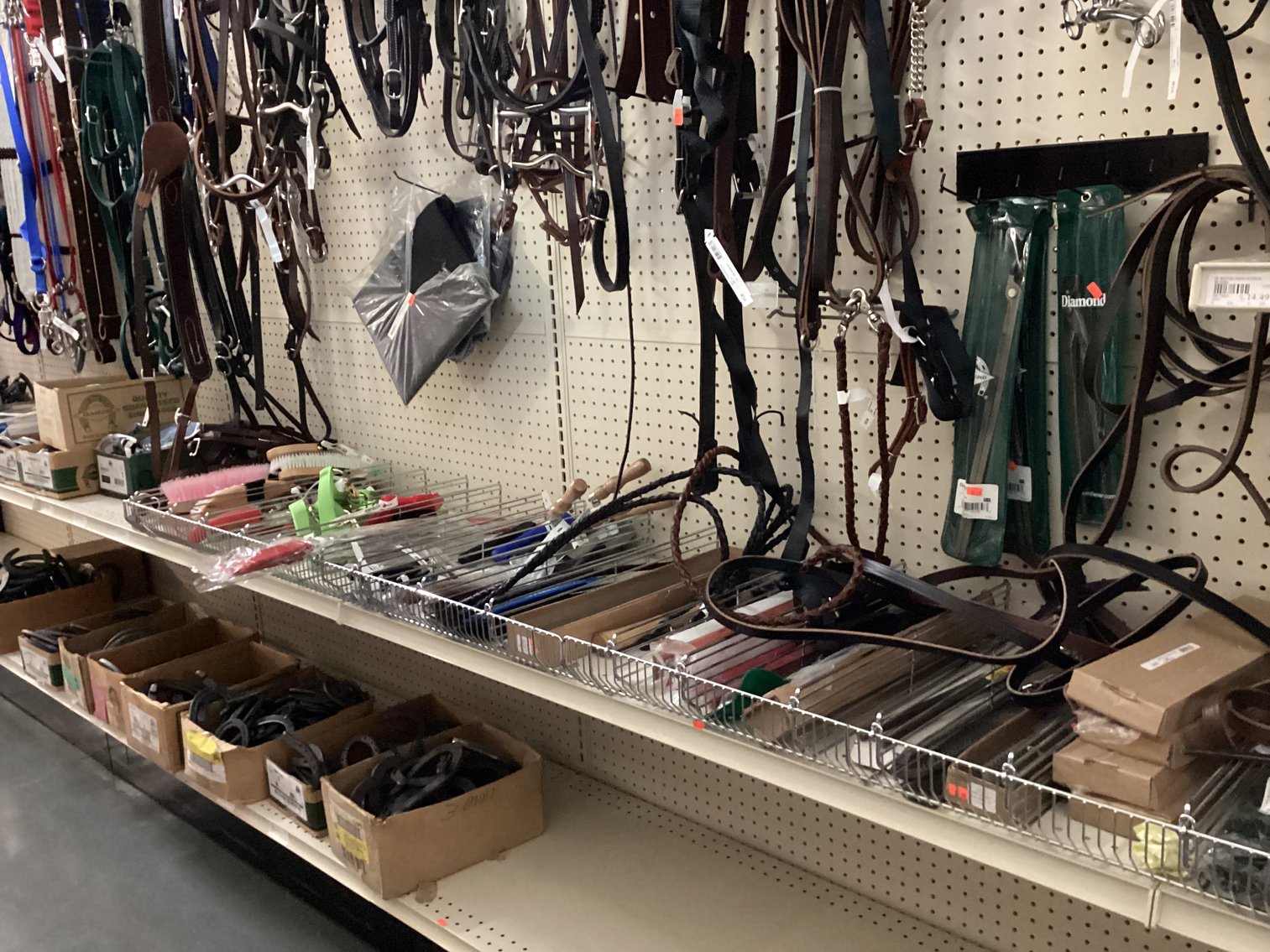 Image for Large Lot of Tack and Horse Supplies