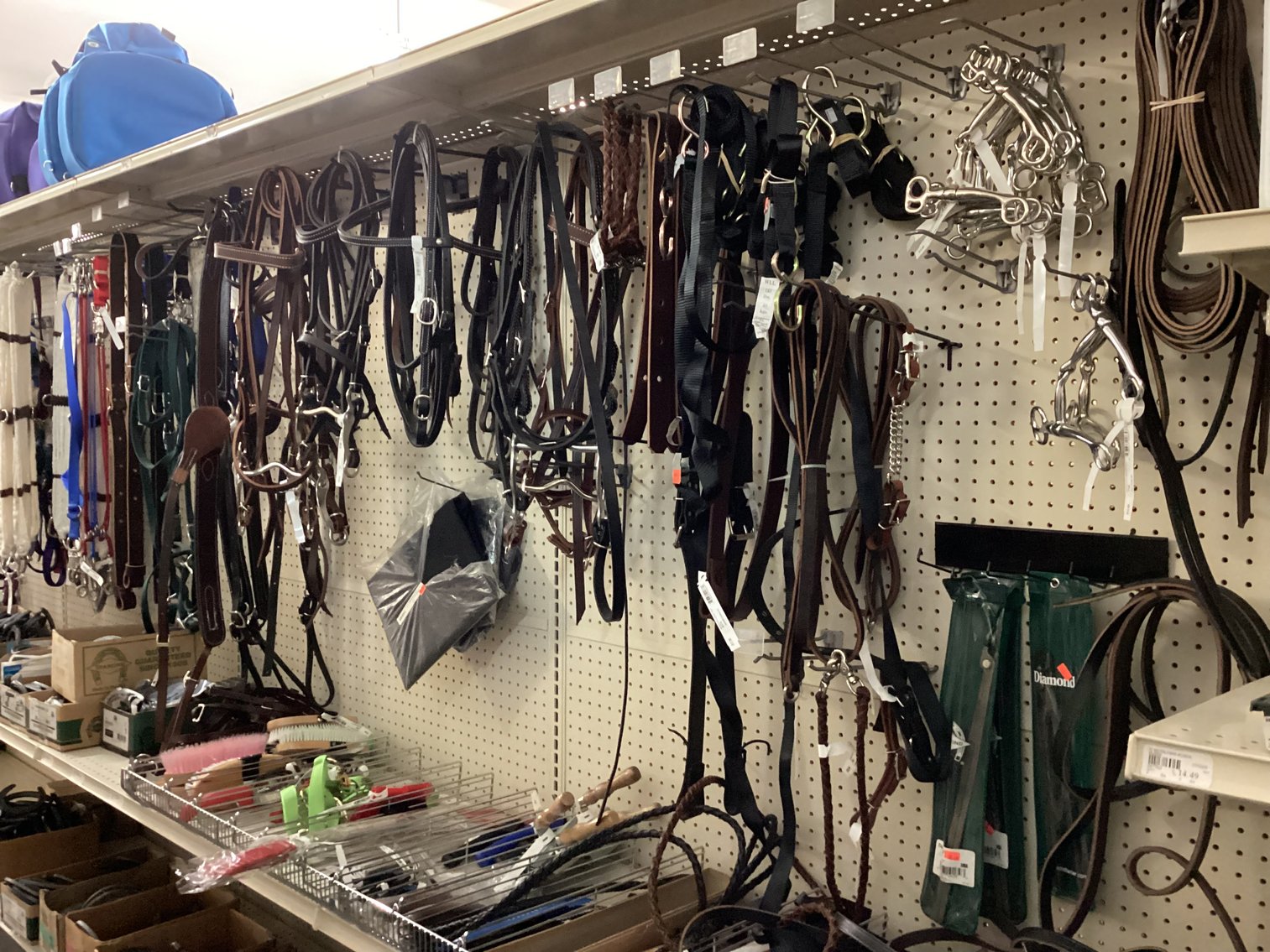 Image for Large Lot of Tack and Horse Supplies