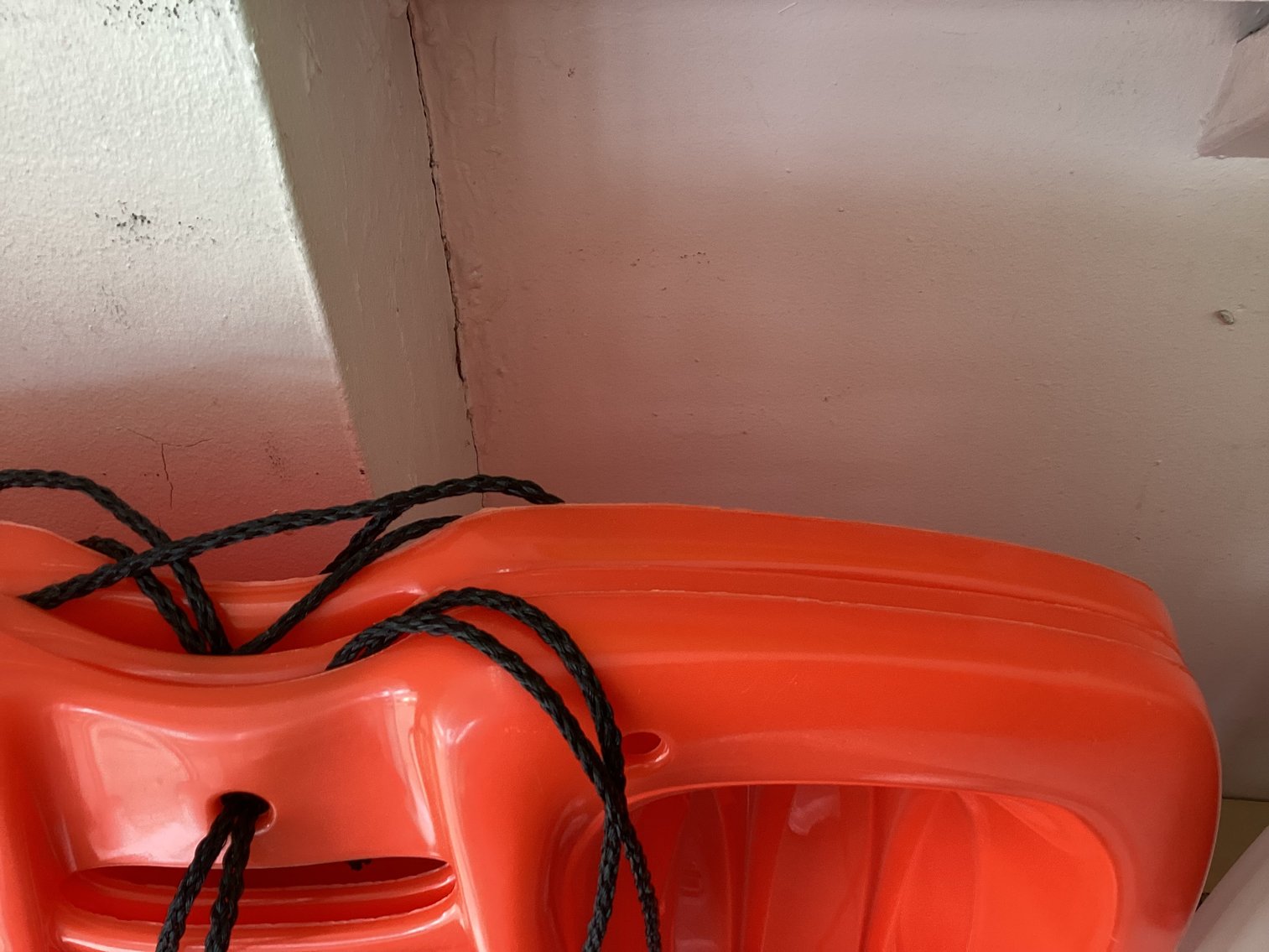 Image for Snow Sleds