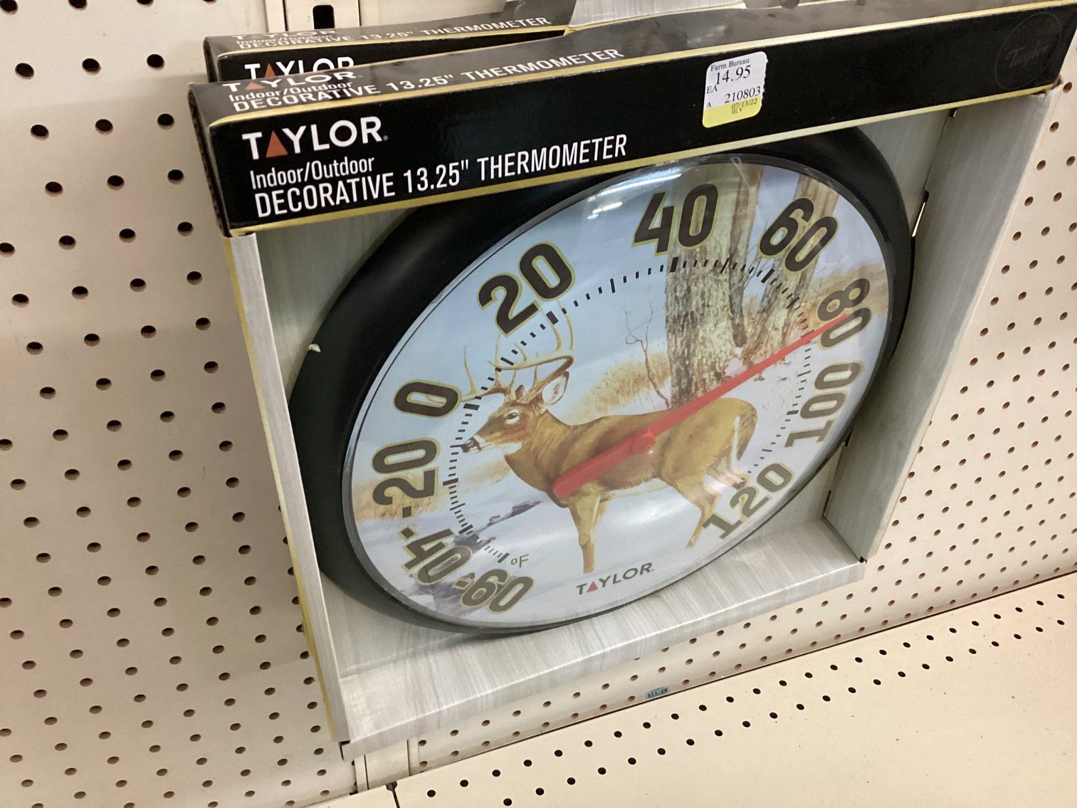 Image for Thermometers and Rain Gauges