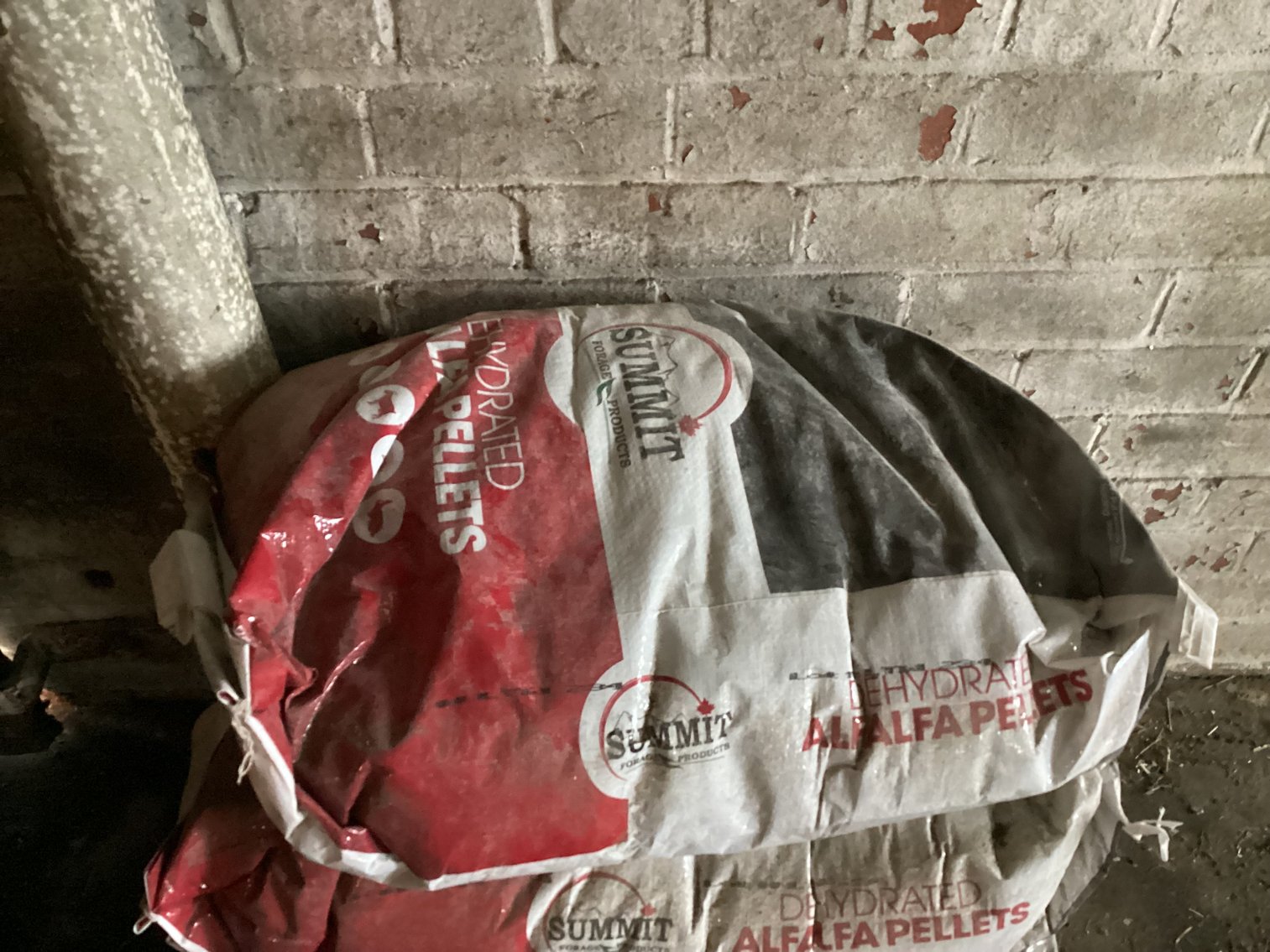 Image for Alfalfa Pellets