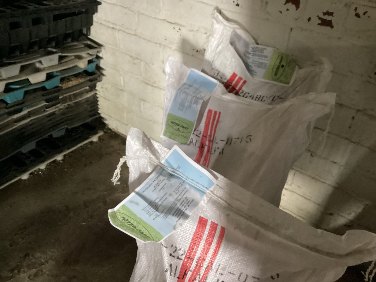 Image for Grass Seed