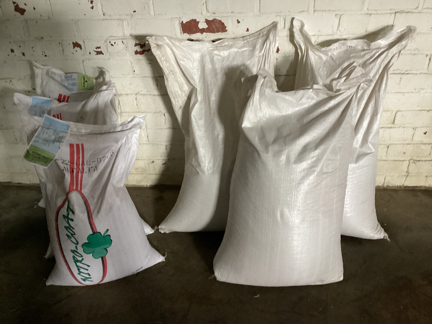 Image for Grass Seed