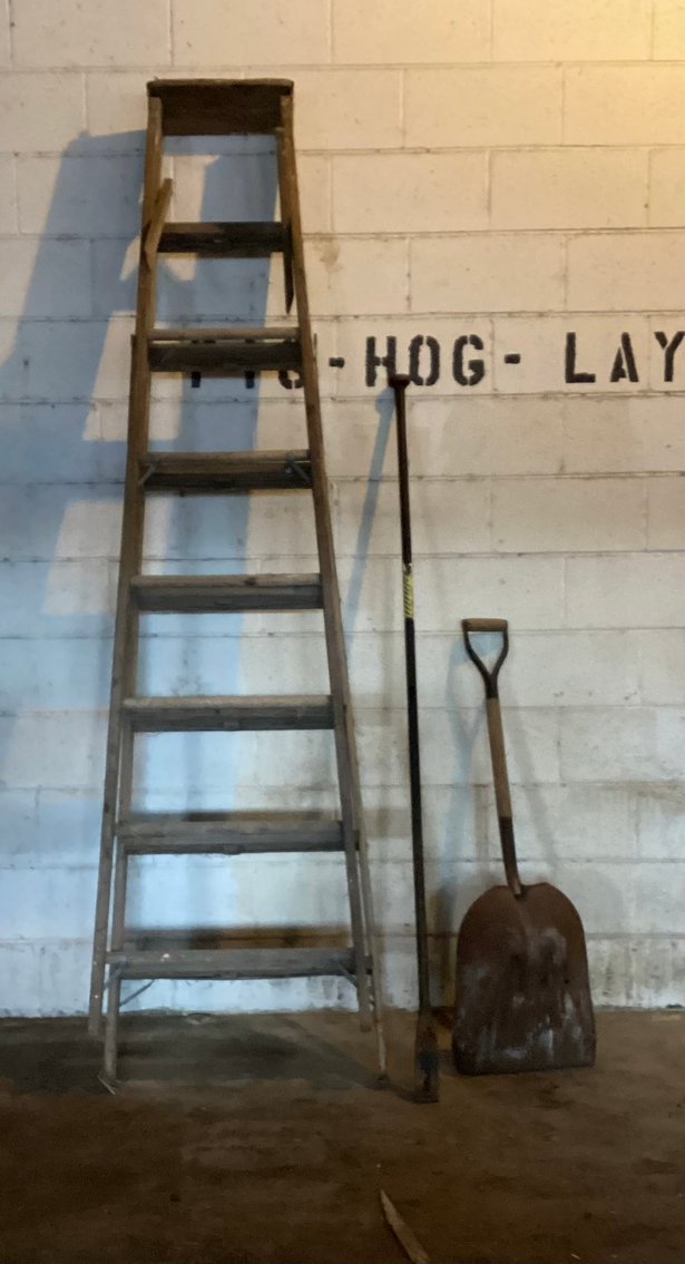 Image for Wooden Step Ladder 8’ and more